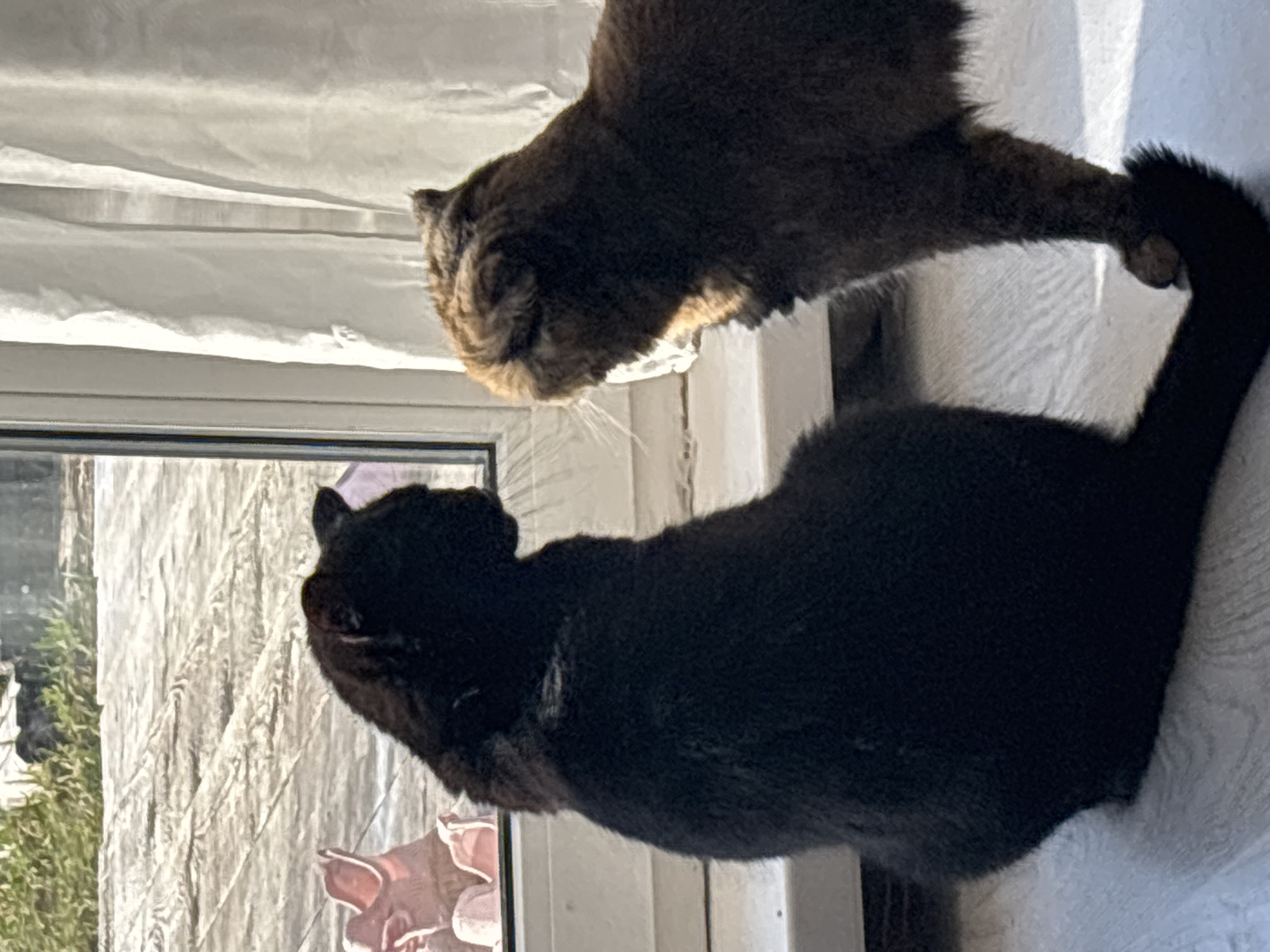 Sunday afternoon domestic life documented in Chaikovsky, Russia
