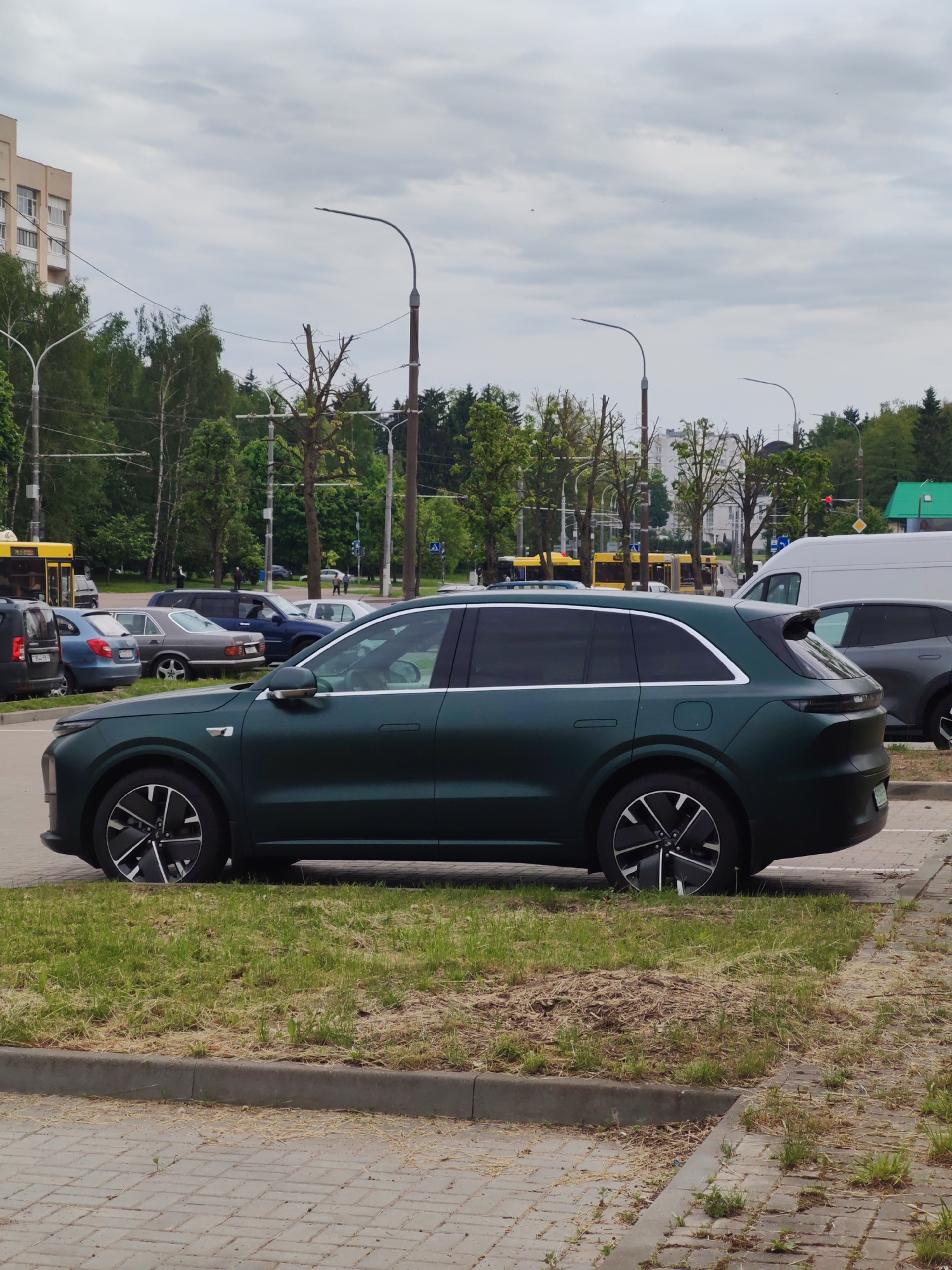 Ordinary moments captured: pets, parked cars, gardens across unknown locations