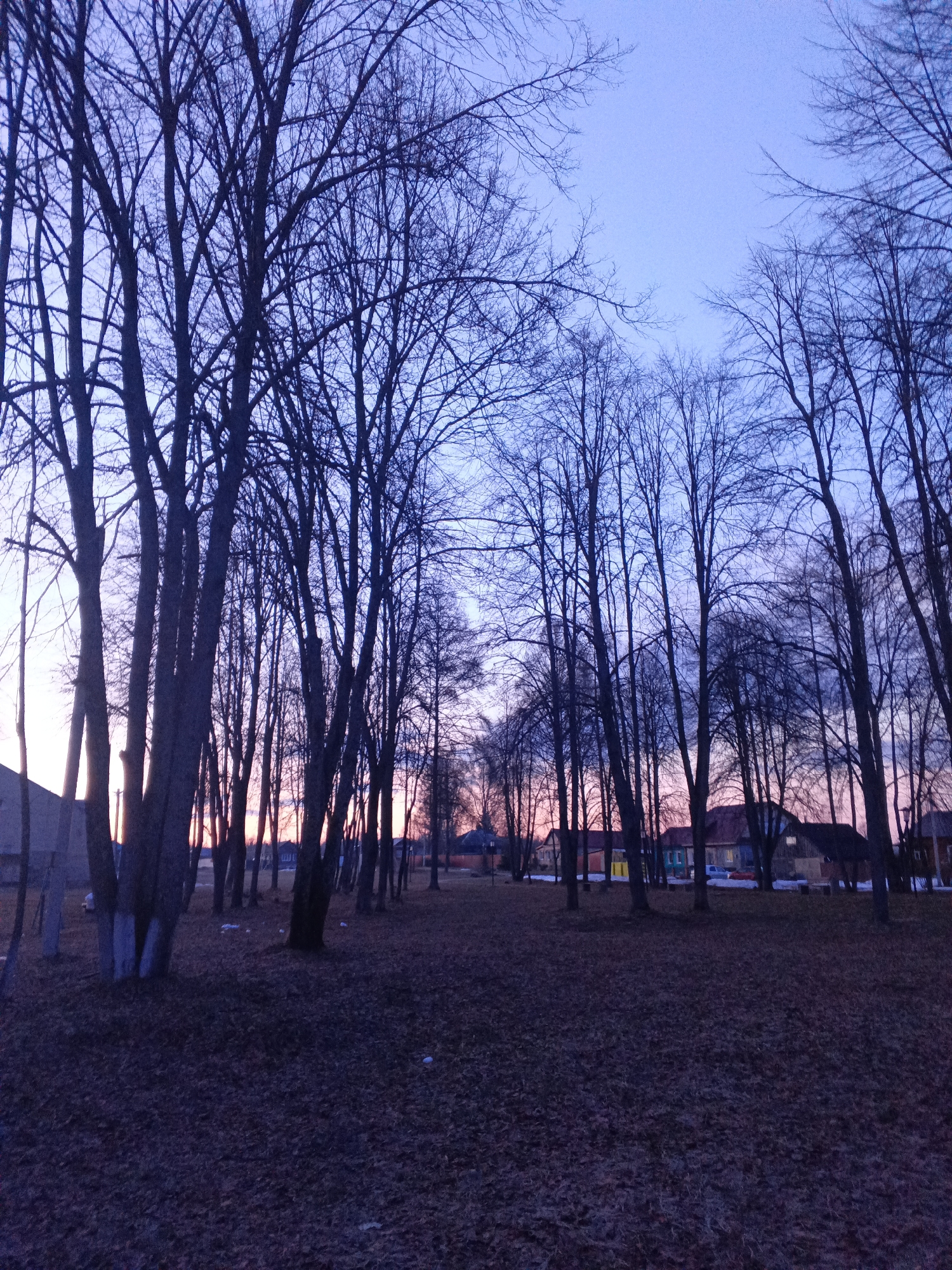 Autumn park scene captured at dusk in Красный Маяк
