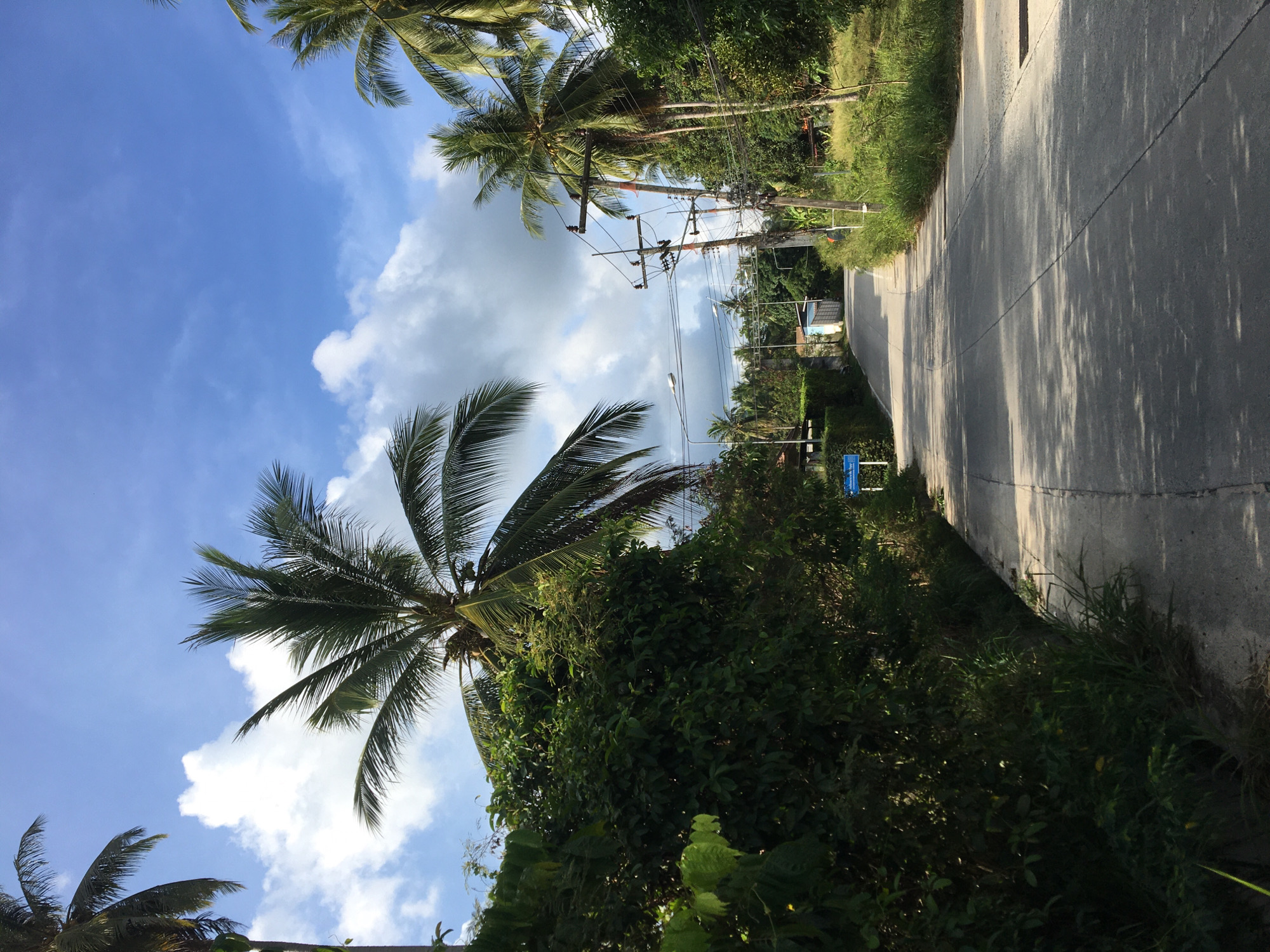 Tropical road scene documented in Baan Tai, Thailand