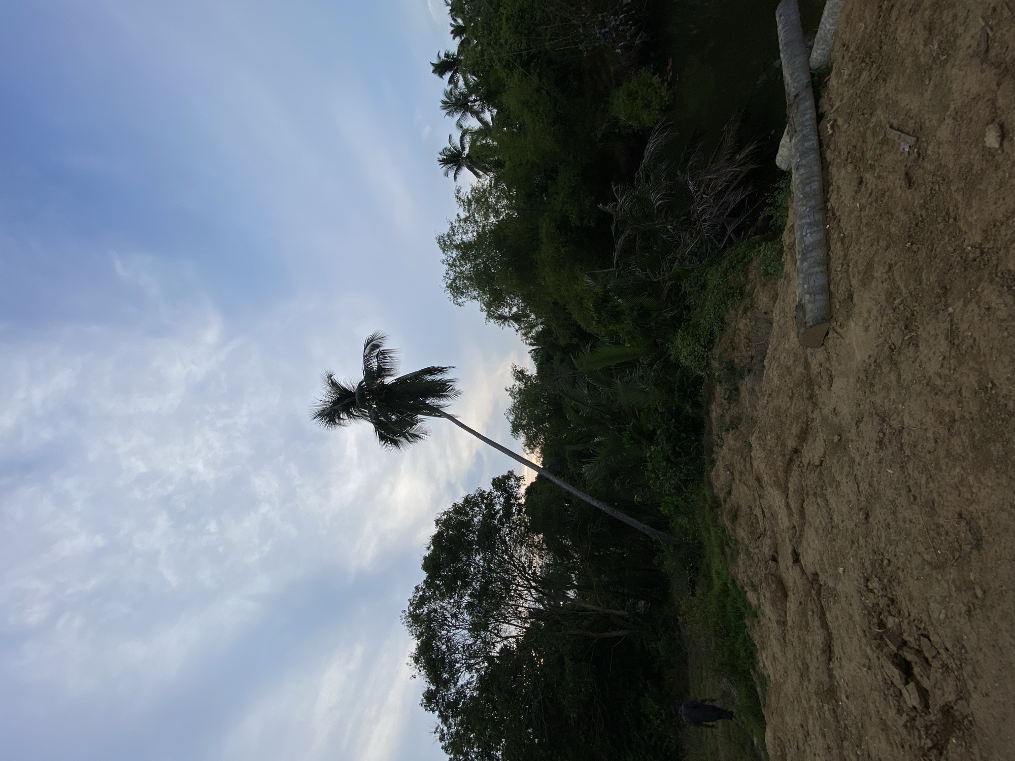 Rural Indonesian landscapes documented in Tanjongkapai morning scenes