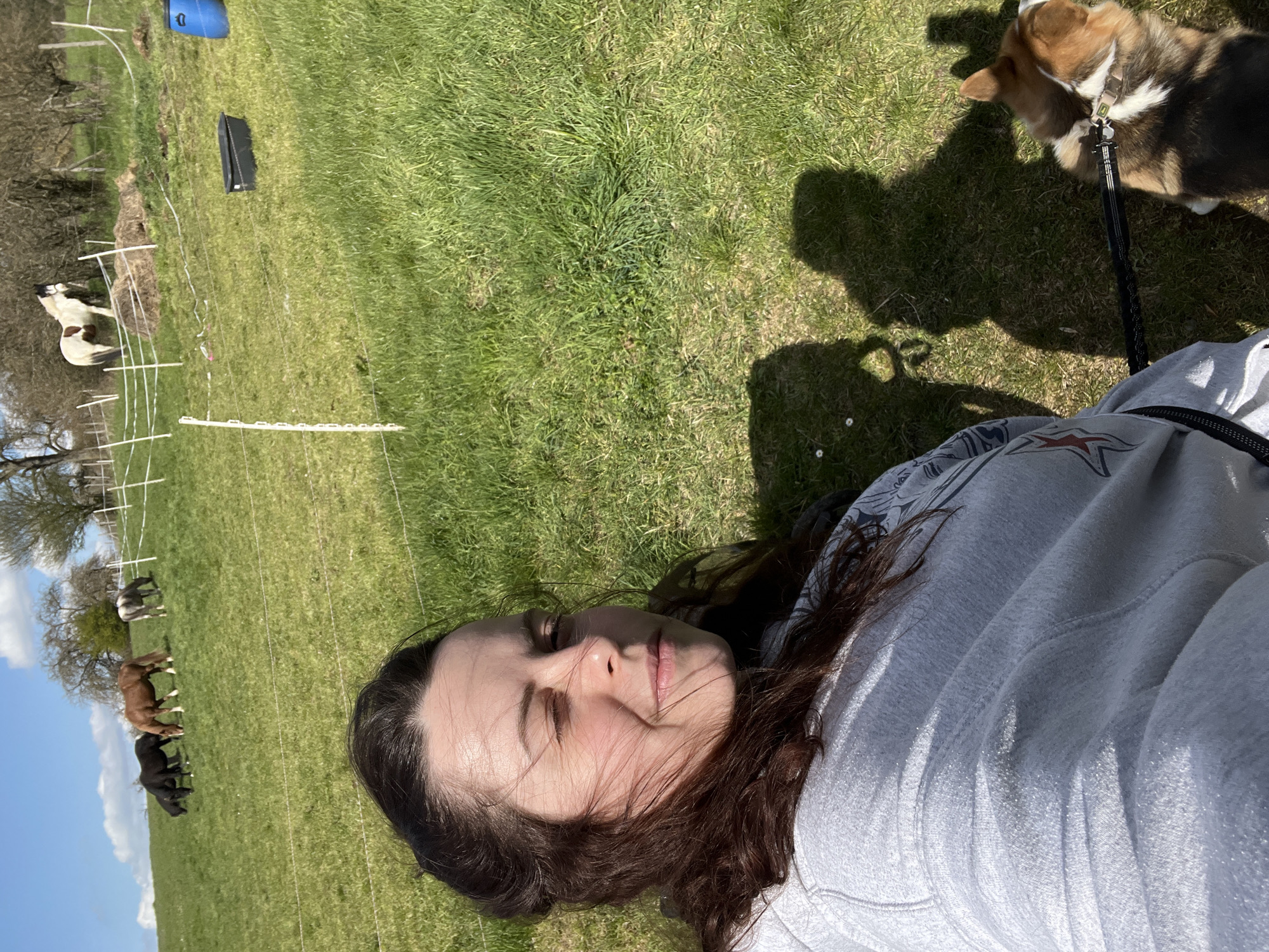 Family enjoys sunny afternoon with corgi and horses in German countryside