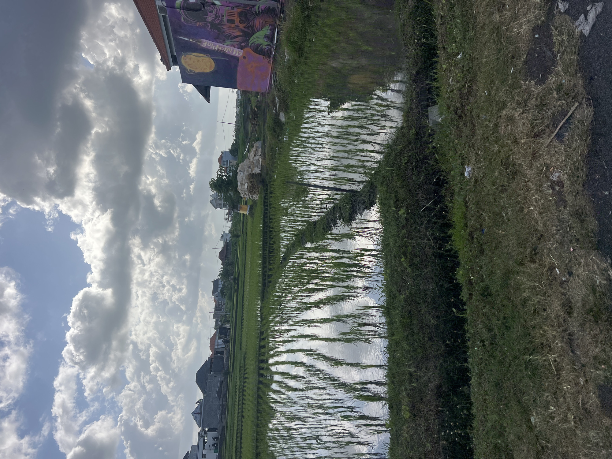 Flooded rice paddies under a patchy sky in Mengwi, Bali