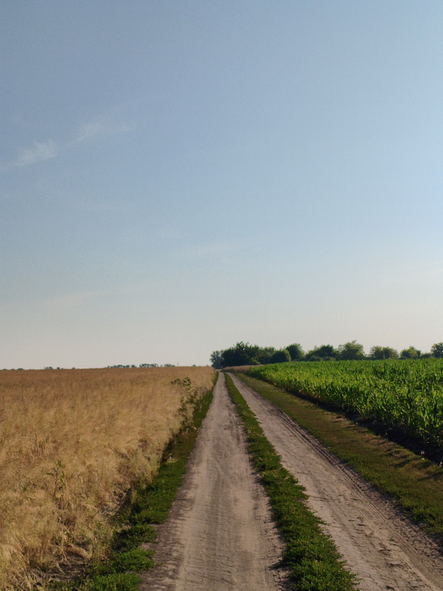 Summer afternoon on the rural roads and fields of Ustyvytsya