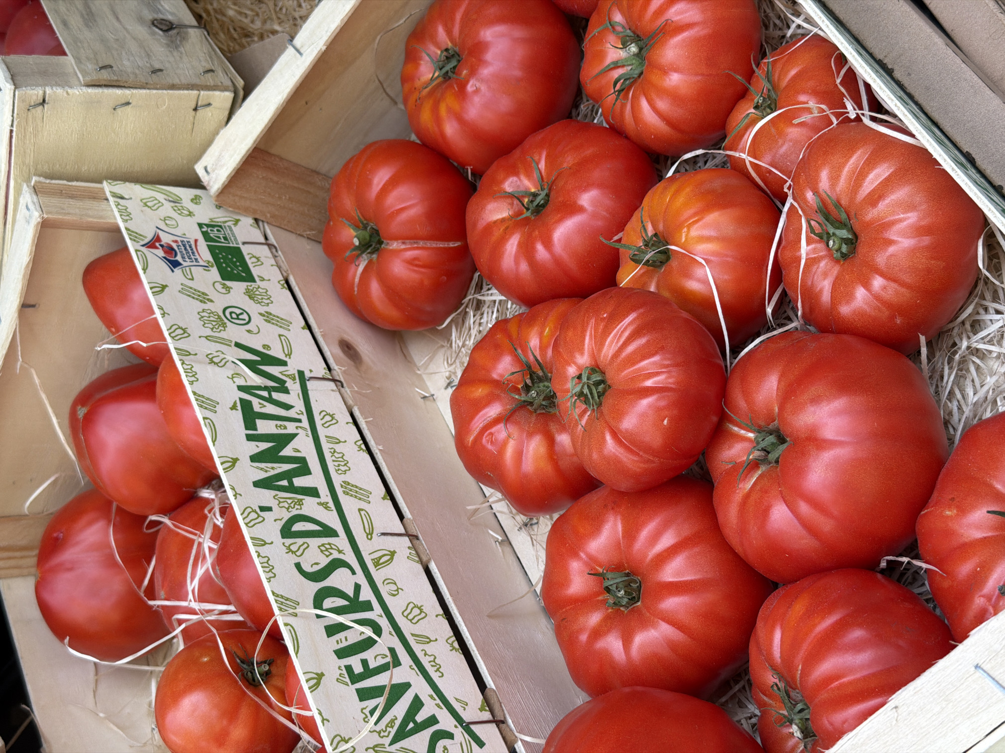 Fresh produce, cargo bikes, and sunny Paris streets