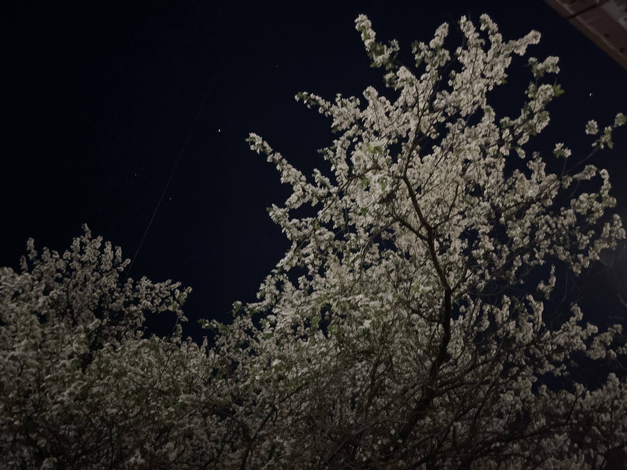 Spring evening scenes documented in Sofia, Bulgaria
