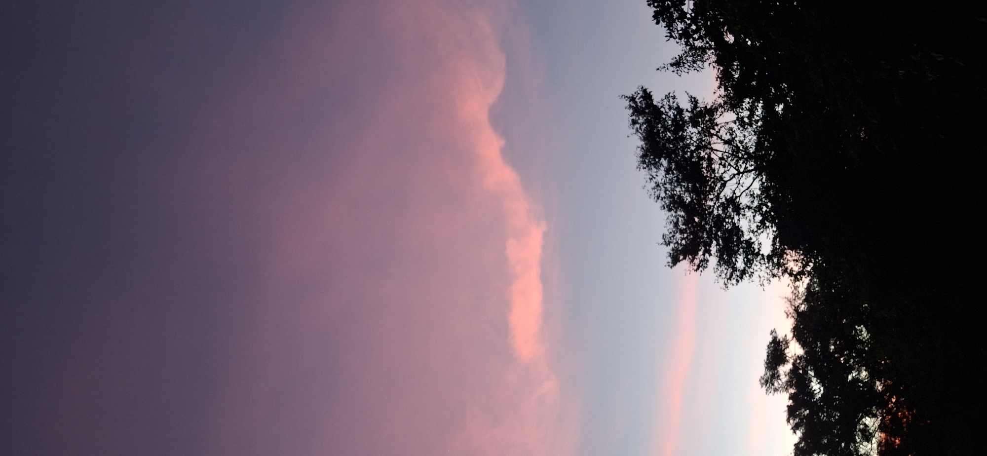 Sunset over Vallecito as backyard chickens settle in for the night