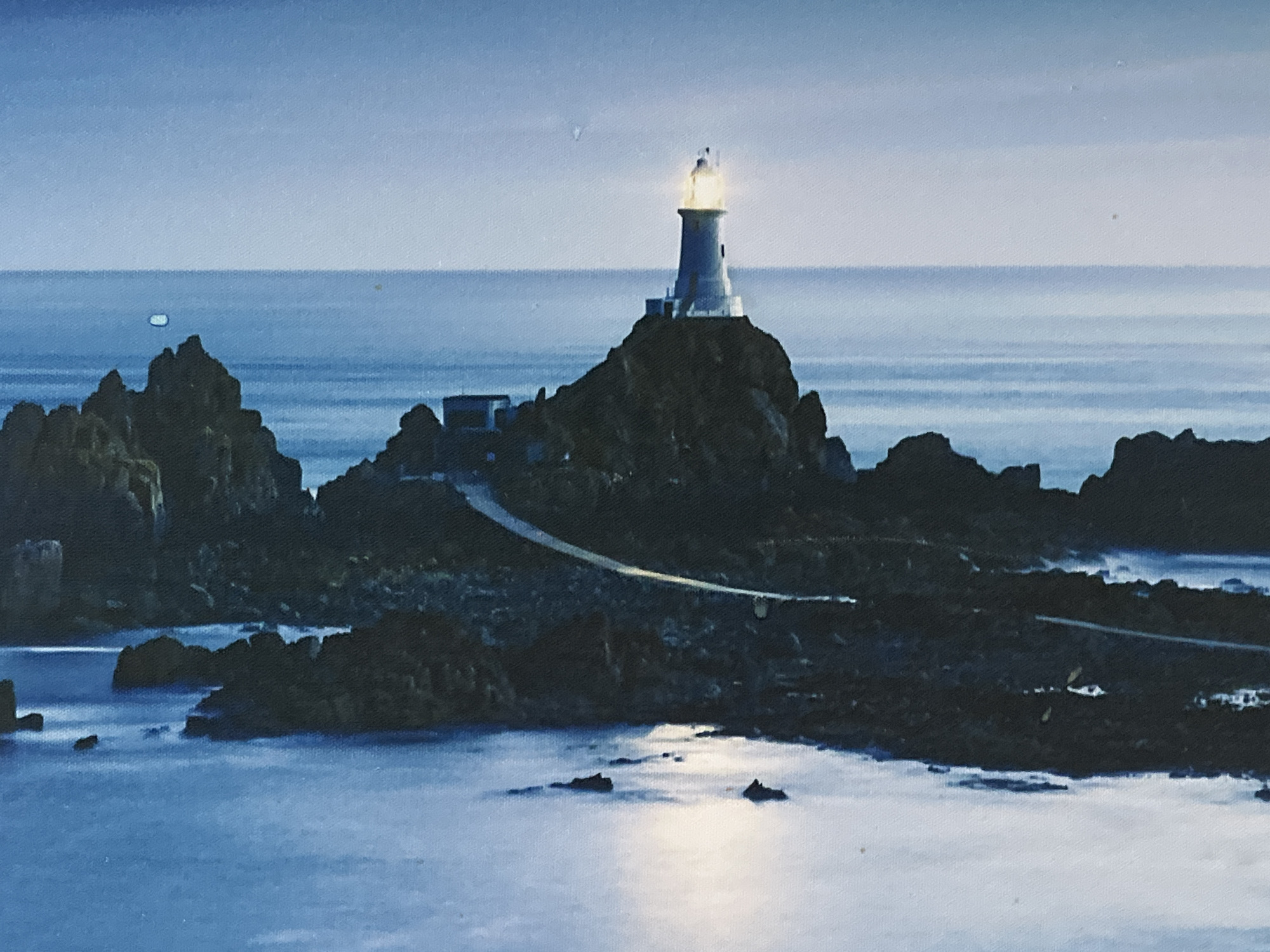 Lighthouse, turtle, and cat — a quiet morning mix