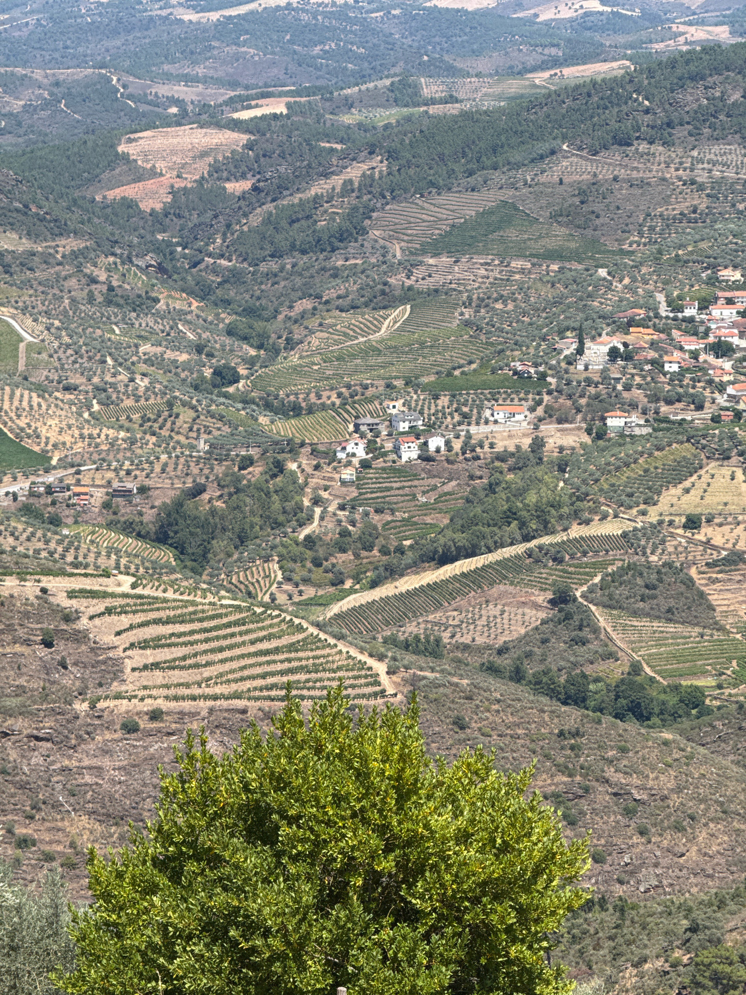 Alijó, Portugal