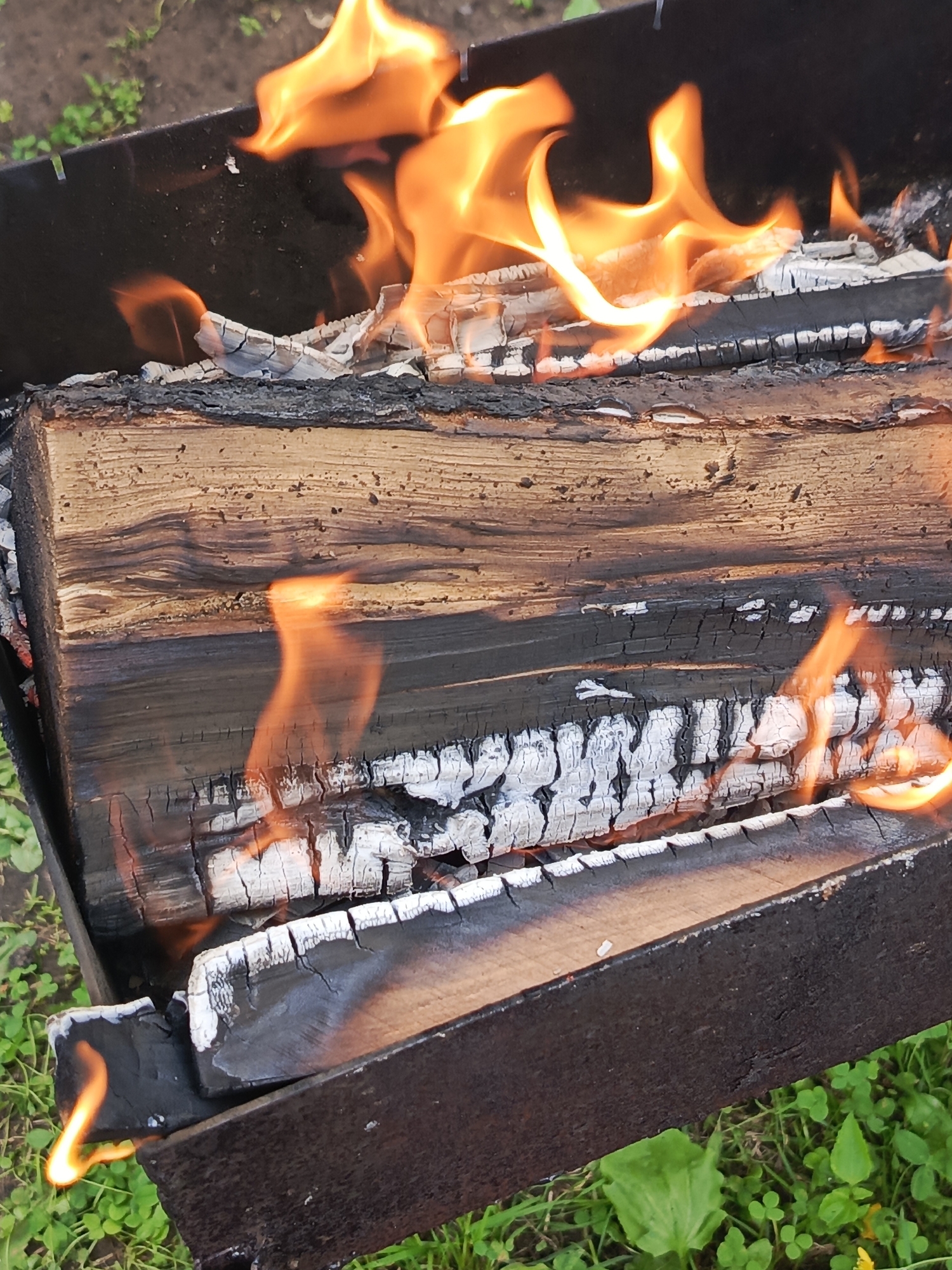 Lazy summer morning with a dog, garden details, and an open fire