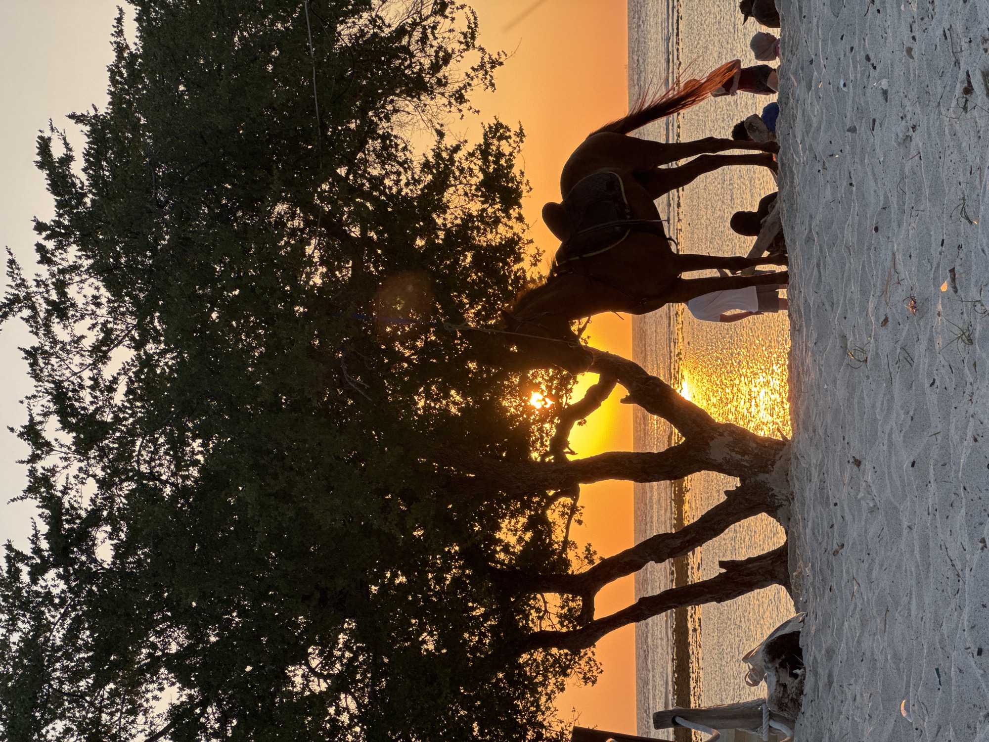 Sunset beach, saddled horse, and grilled food on the table