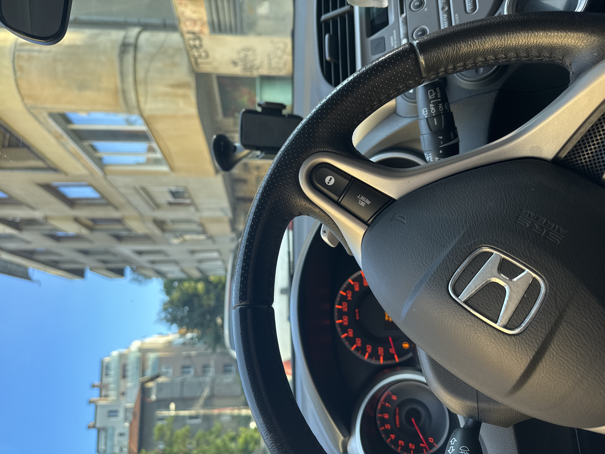 Sofia resident documents afternoon with pet Chihuahua and car
