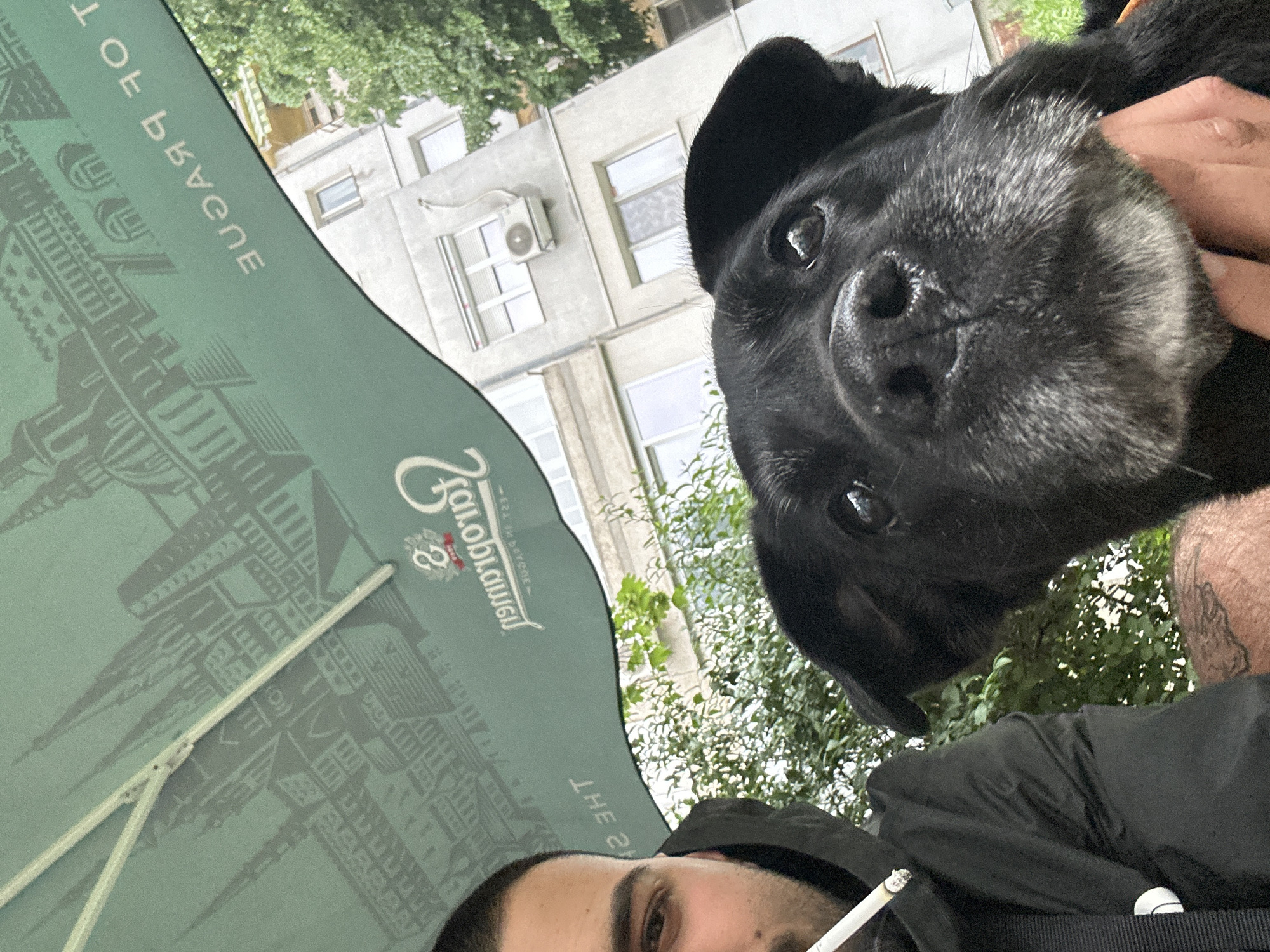 Man and aging black dog photographed together in Plovdiv