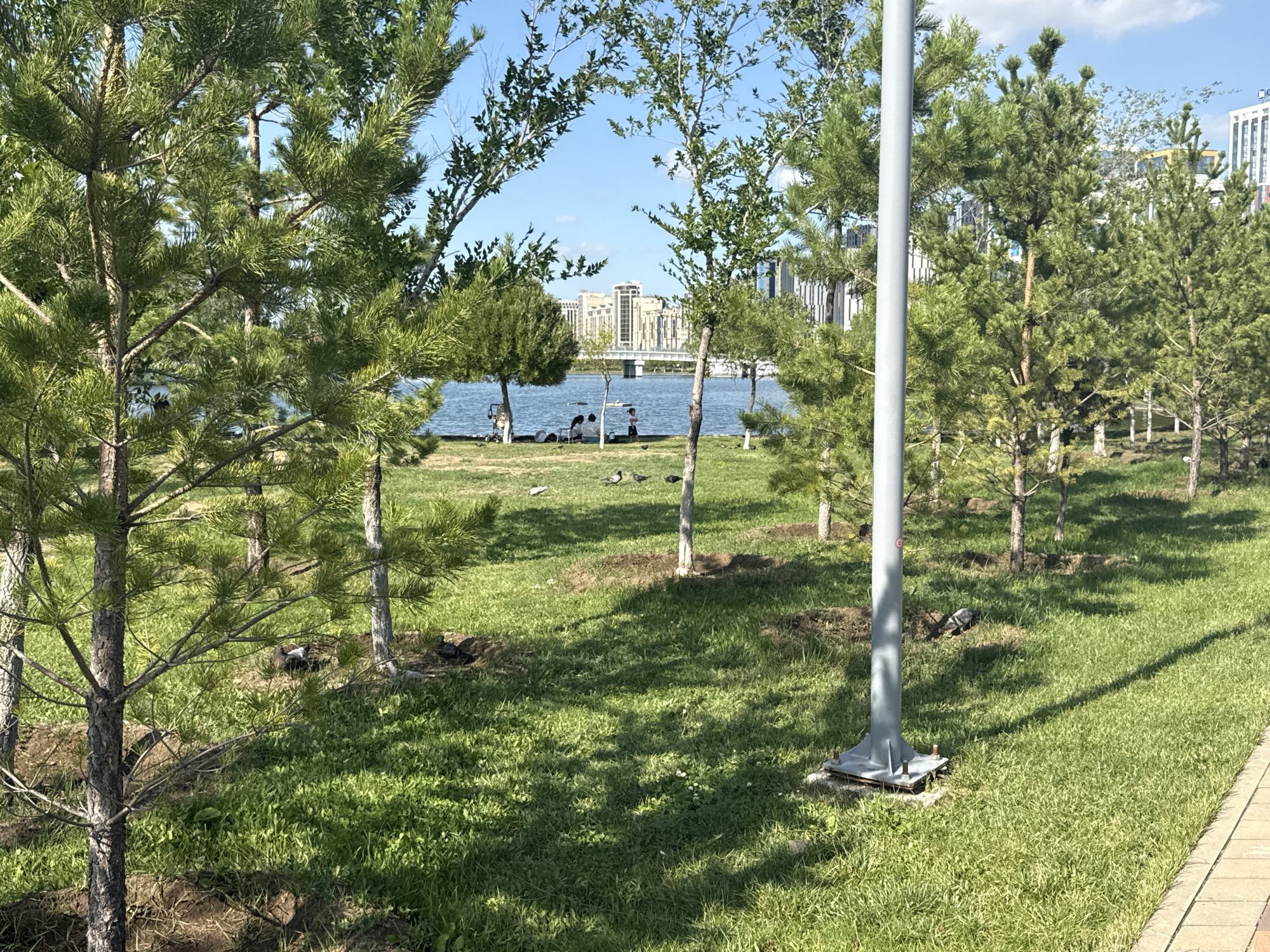 Sunny morning stroll through a scenic urban botanical park