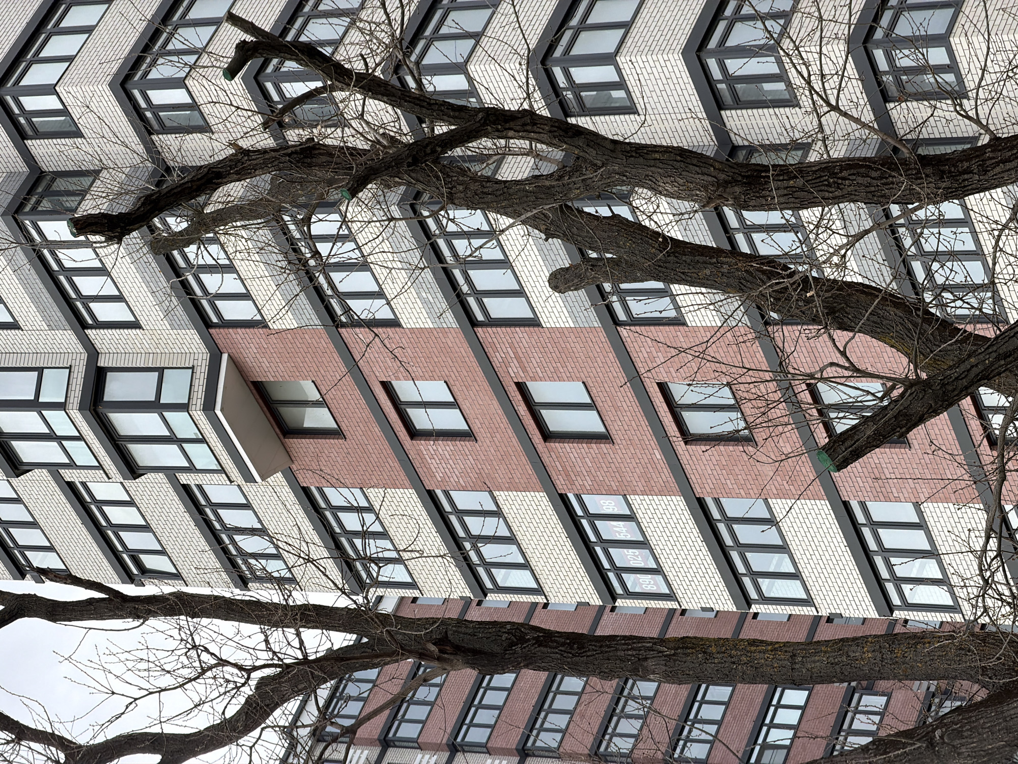 Couple explores Krasnodar parks, street art, and architecture