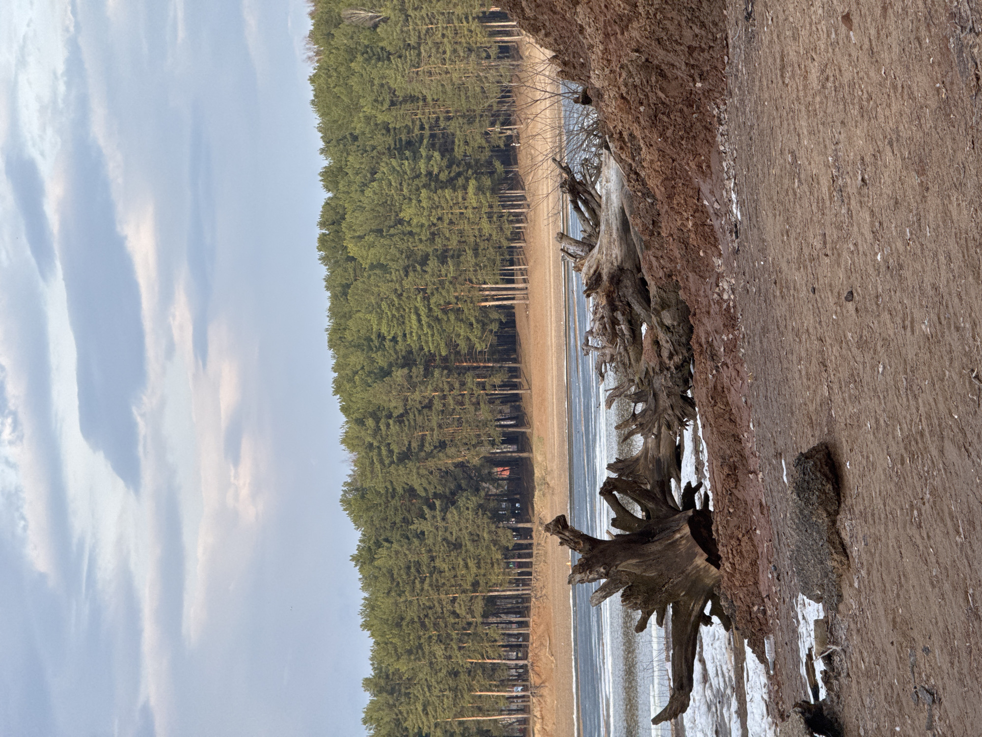 Woman documents afternoon walk through forests and waterfront areas