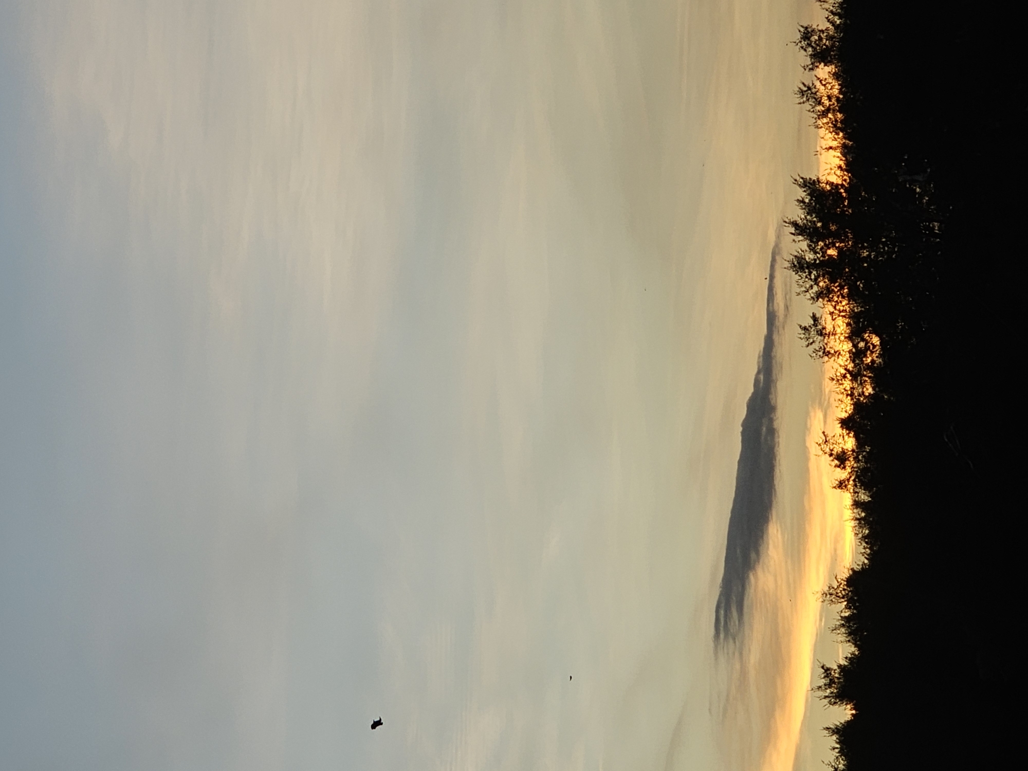 Low tide, kites, and sunset at a Denpasar beach