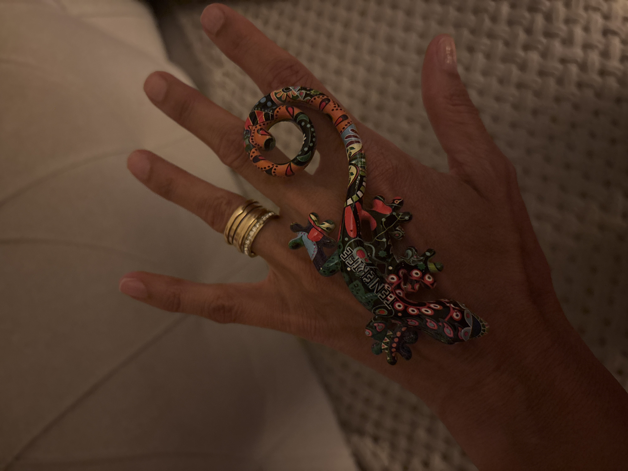 Person spotted wearing distinctive gecko ring in Minsk