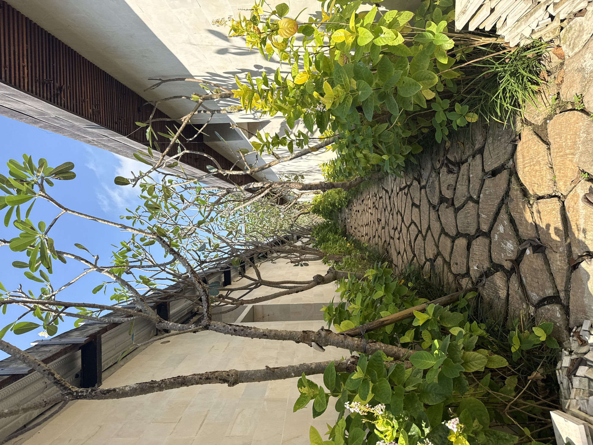 Exploring a tropical estate under renovation in Tampaksiring, Bali