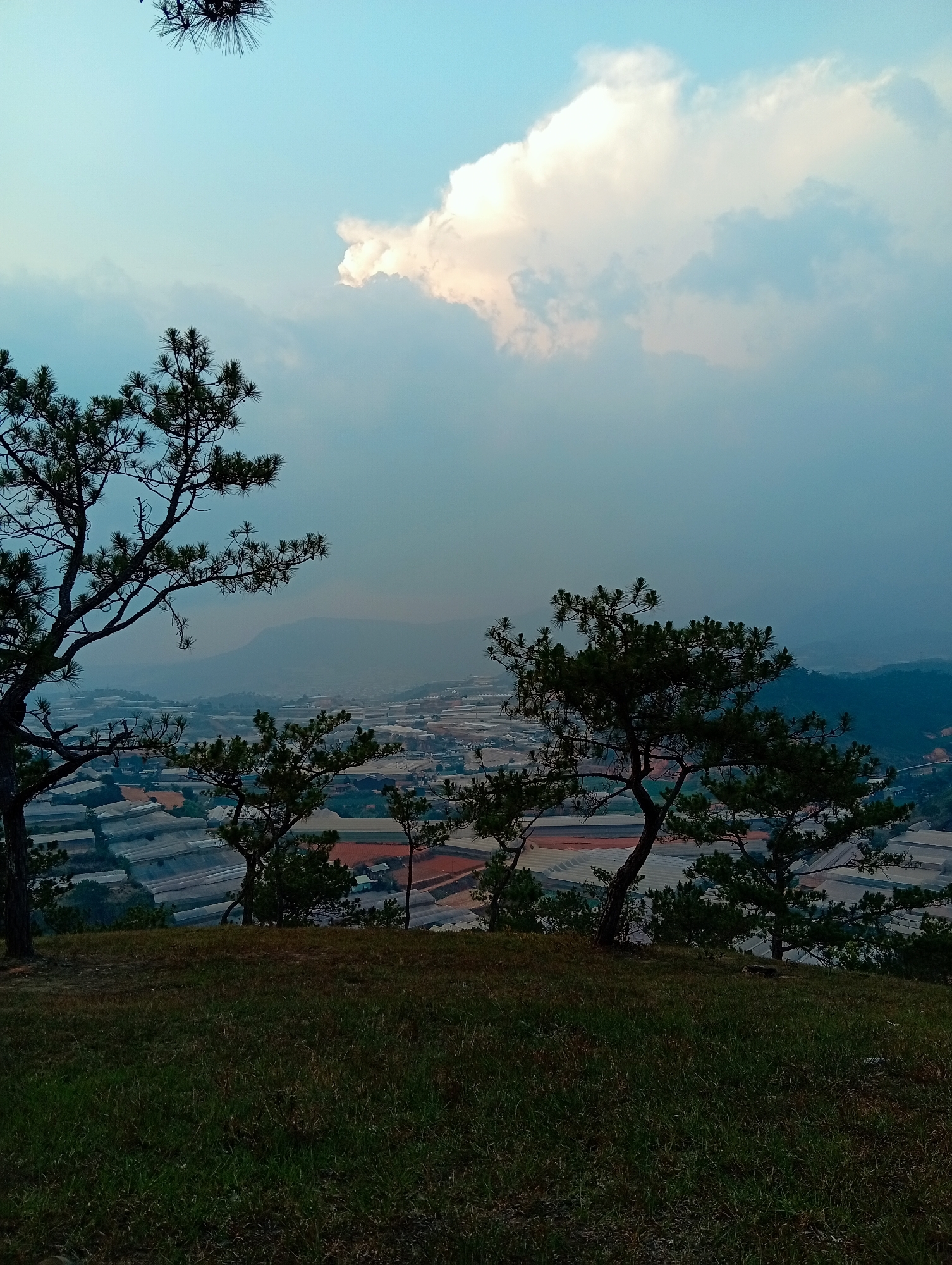 Misty morning landscape views captured in Lạc Dương Vietnam