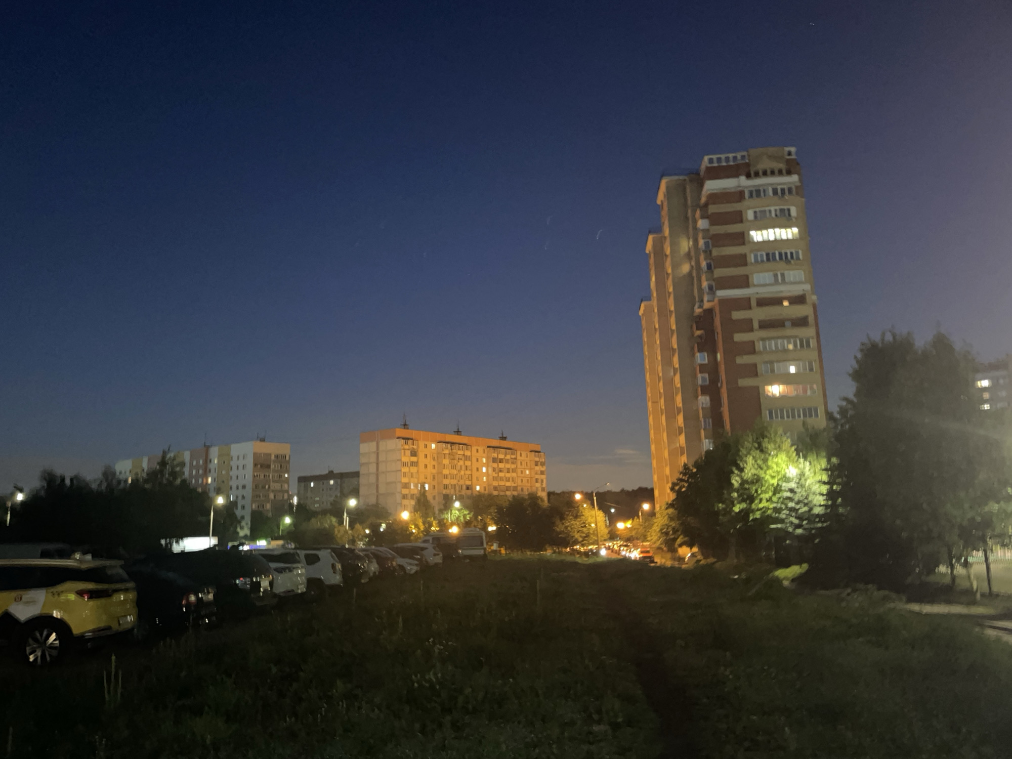 Wildflowers growing along a residential lot in Krasnogorsk at night