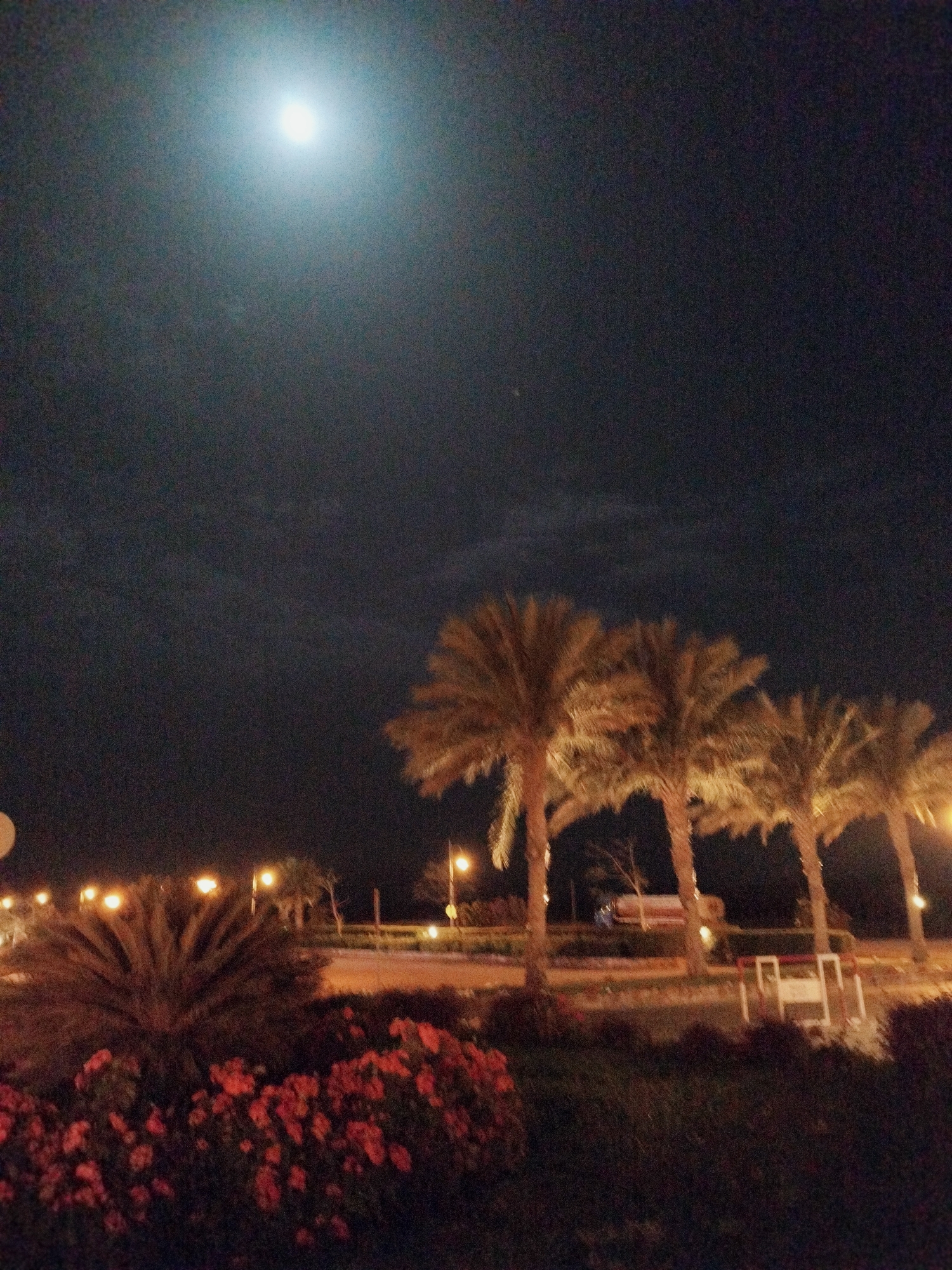 Woman's Evening Shopping Trip in Safaga, Egypt