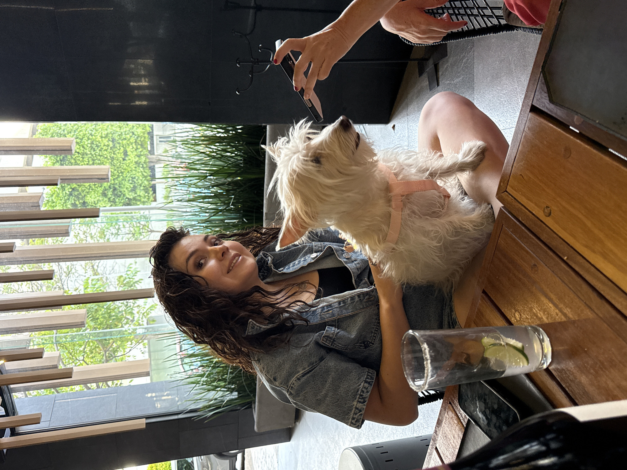 Diners enjoy pet-friendly Japanese meal at Mexican restaurant