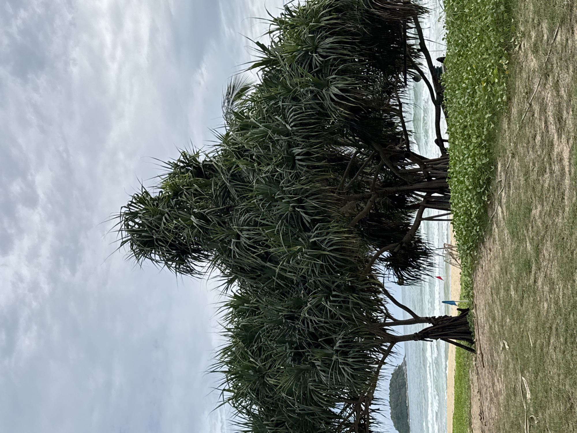 Overcast morning at Karon Beach, quiet and unhurried