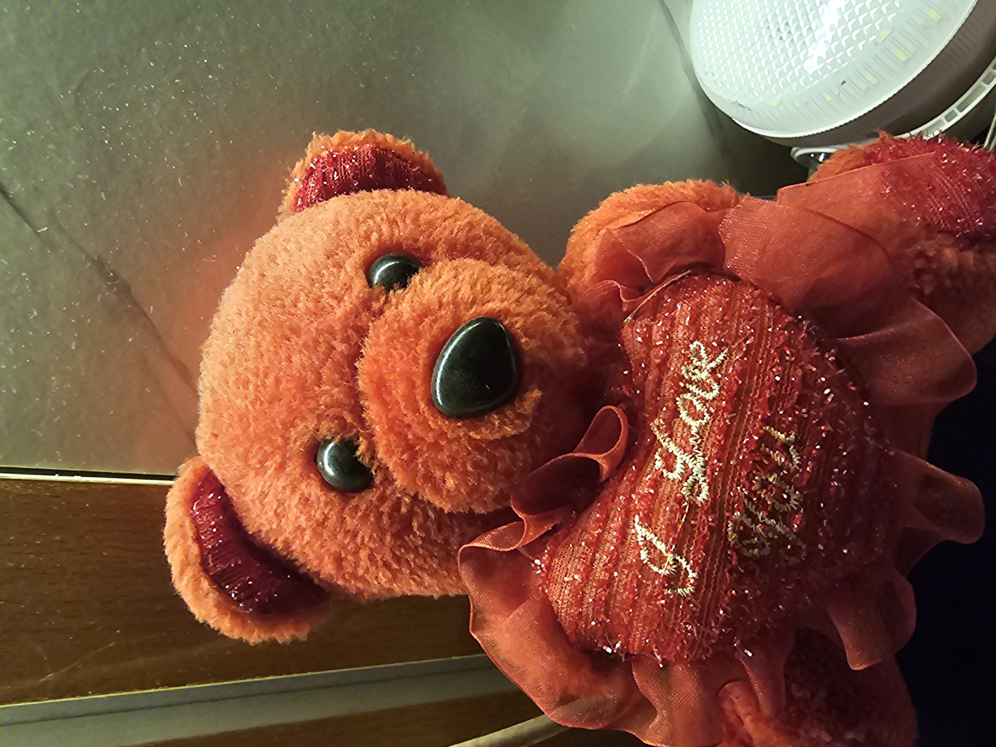 Orange teddy bear with "I Love You" pillow captured in Ota
