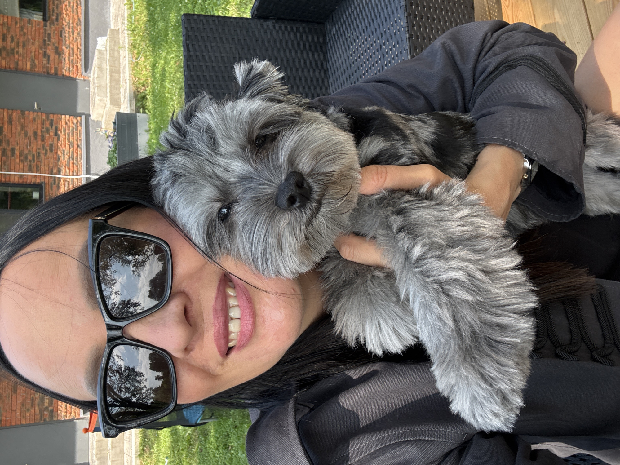 Chill morning out with a gray schnauzer and some easy errands