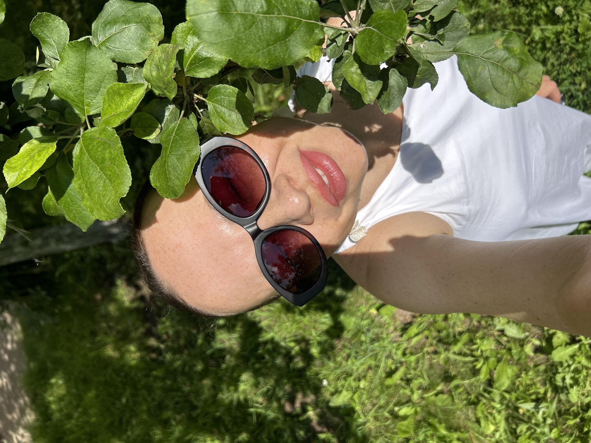 Lazy summer morning in a Chaikovsky backyard garden