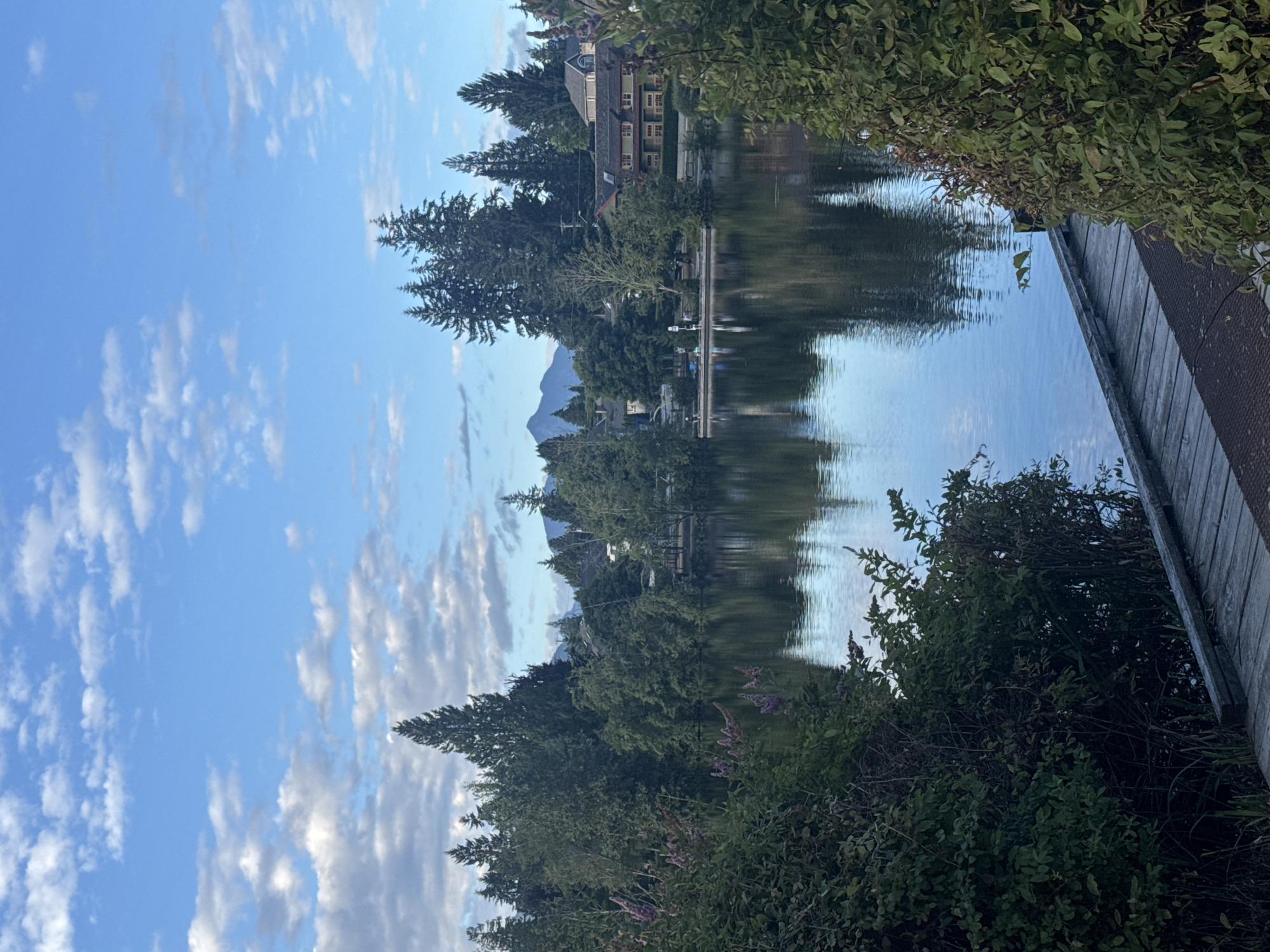 Canada geese and calm water at a Coquitlam park