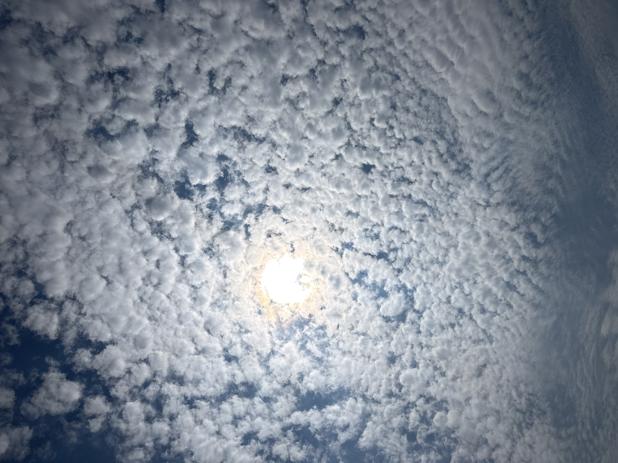 Altocumulus clouds observed over Puebla cityscape near Auditorio Metropolitano