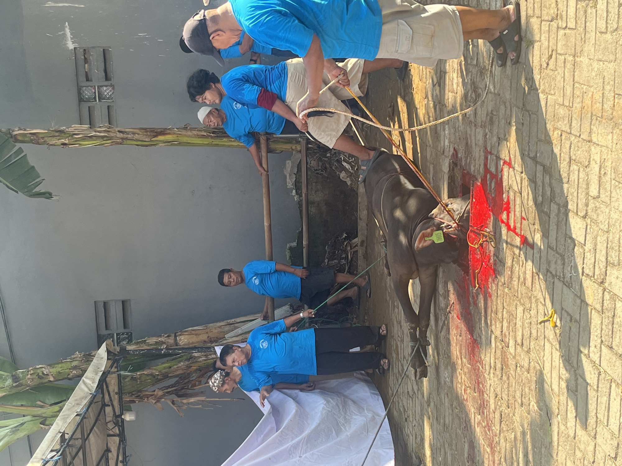 Ritual sacrifice and mosque renovation documented in Tangerang