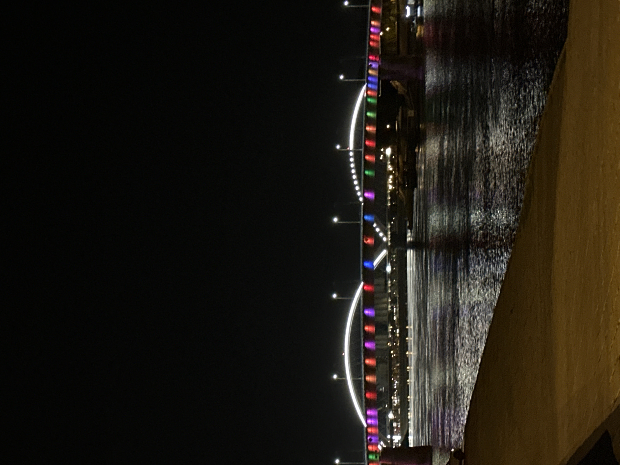 Novi Sad landmarks illuminated in colorful nighttime display along Danube