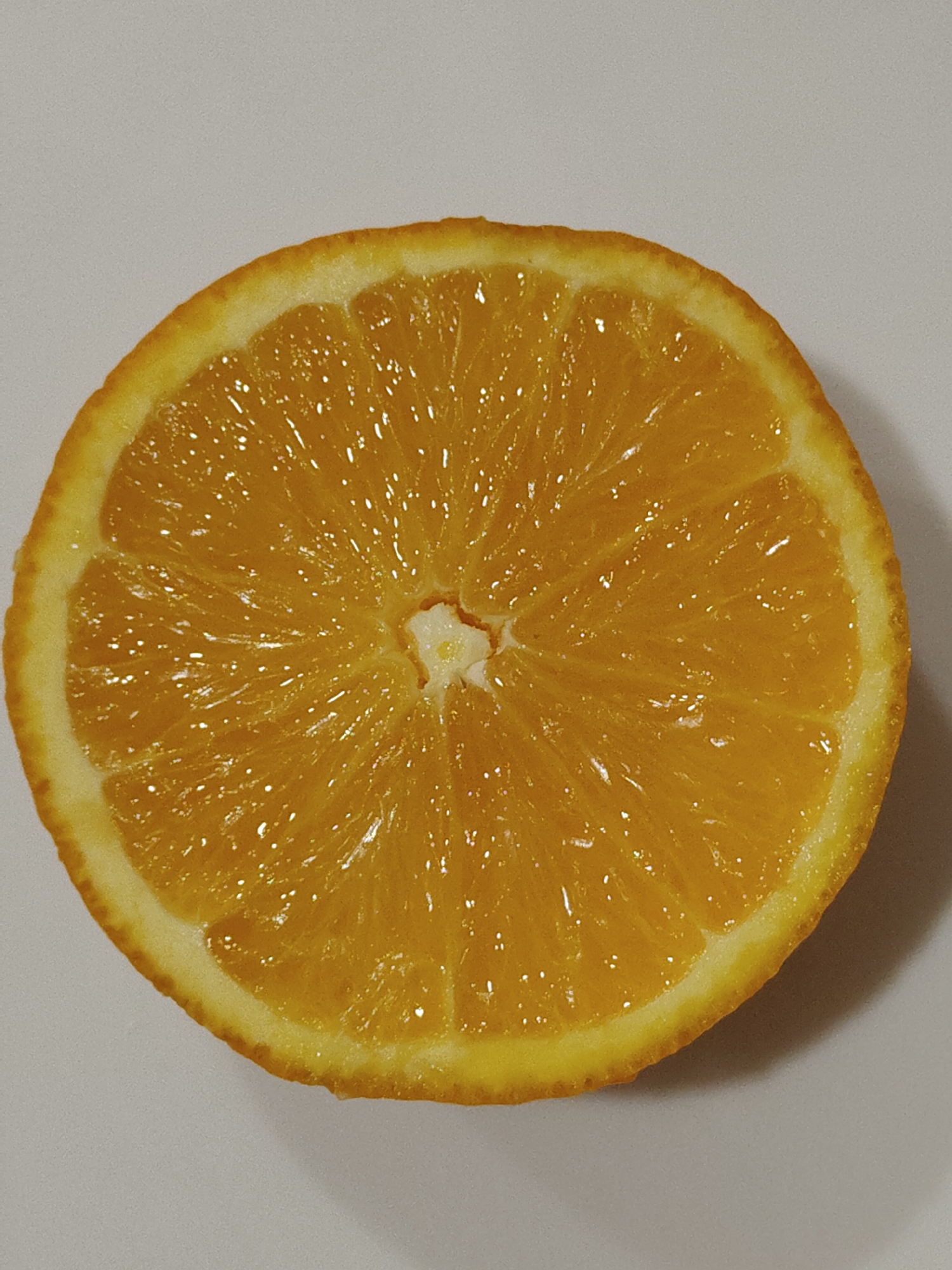 Unknown photographer documents oranges and household objects in afternoon session