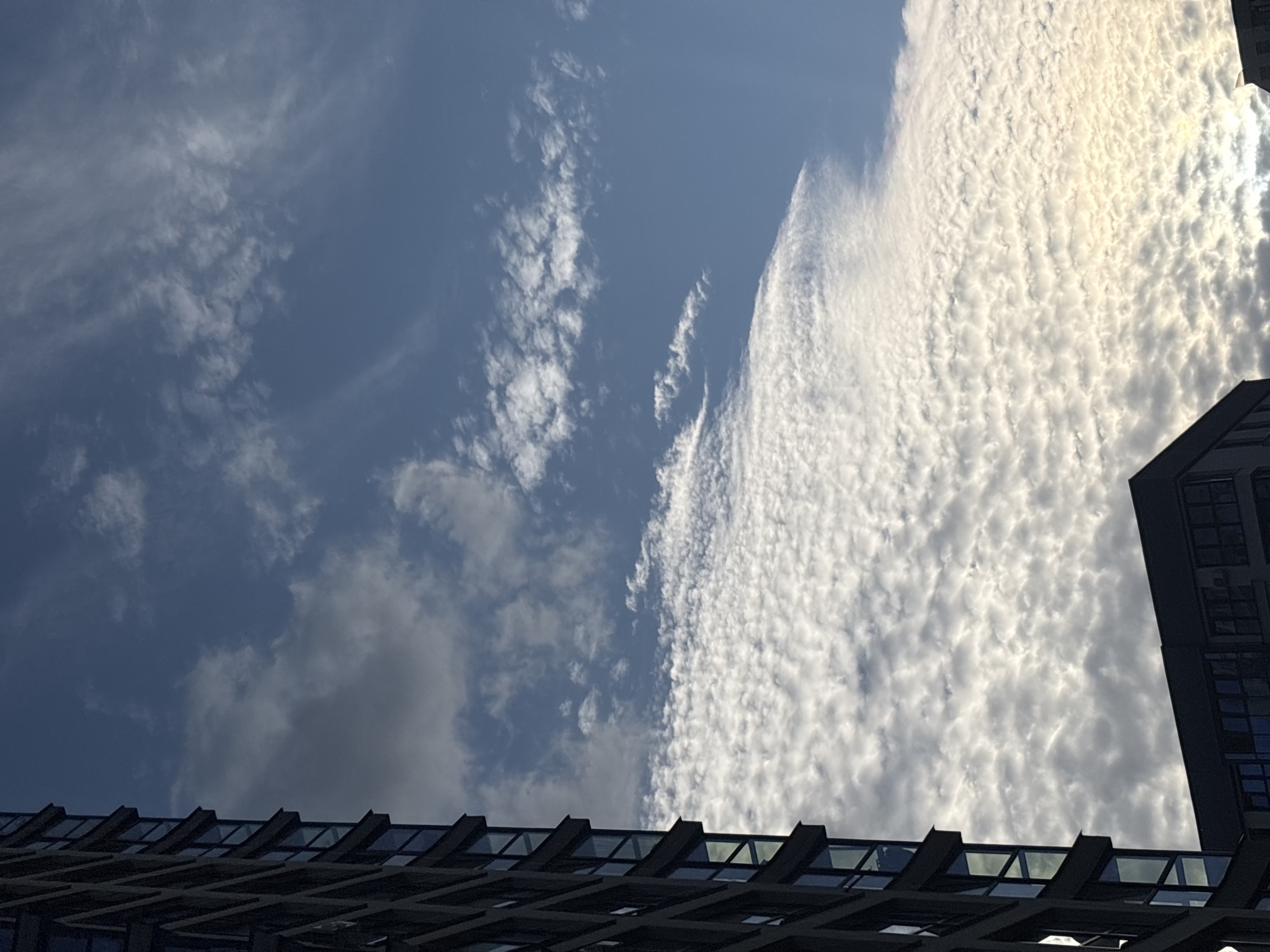 Blue sky and apartment towers, Minsk, July afternoon
