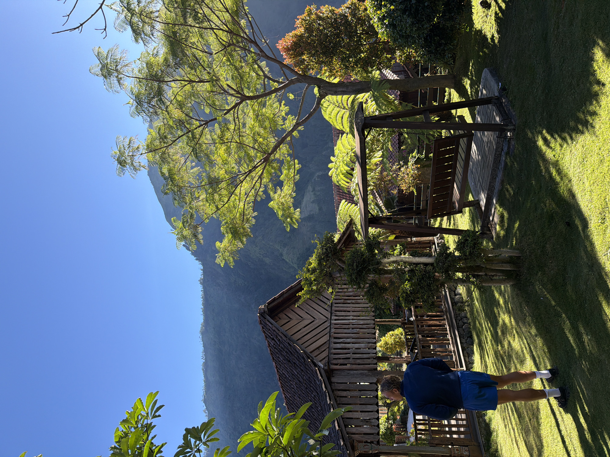Sunny afternoon in a Wonokerto backyard, June 2026
