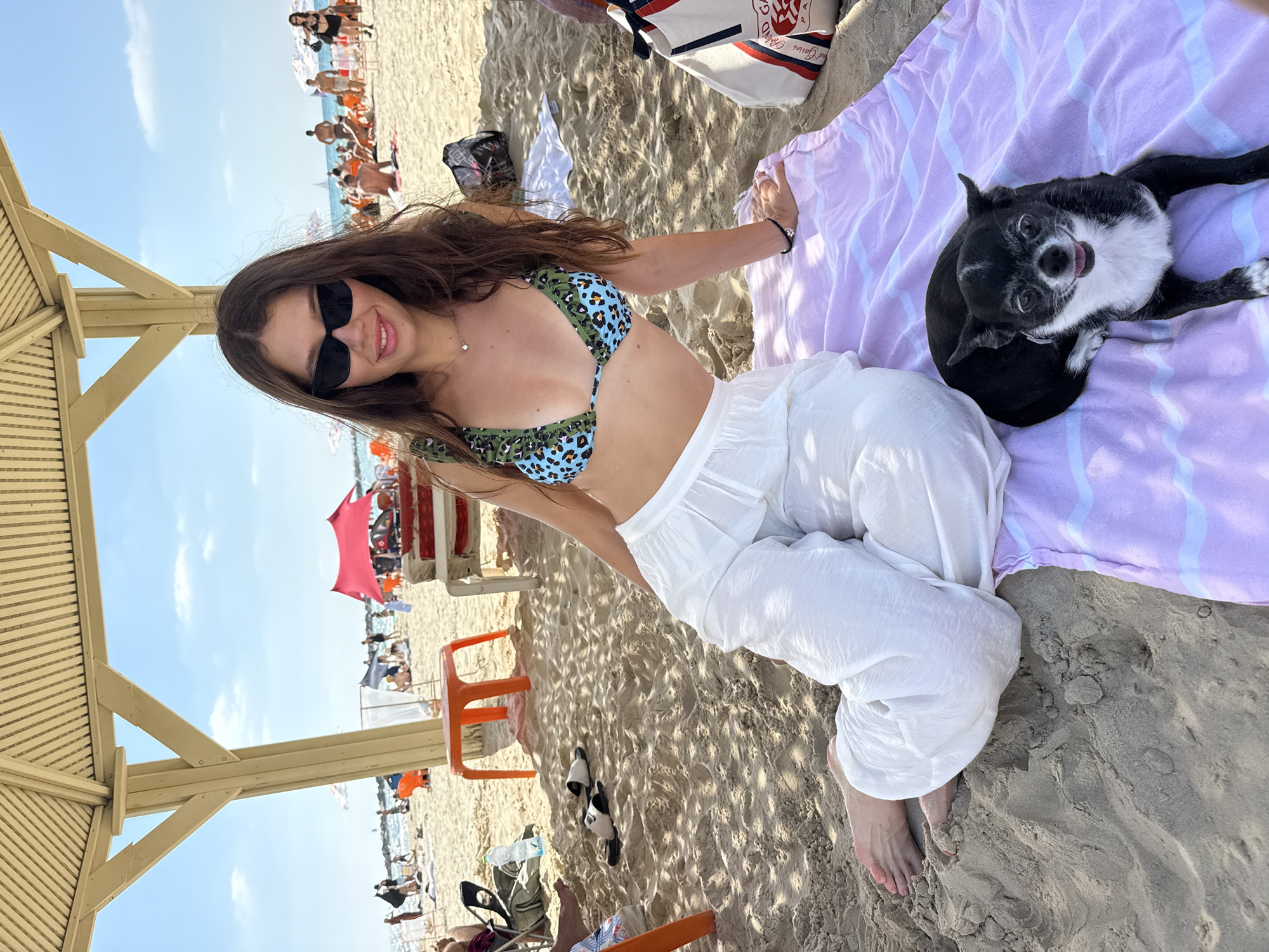 Chihuahua holds court on a Tel Aviv beach afternoon