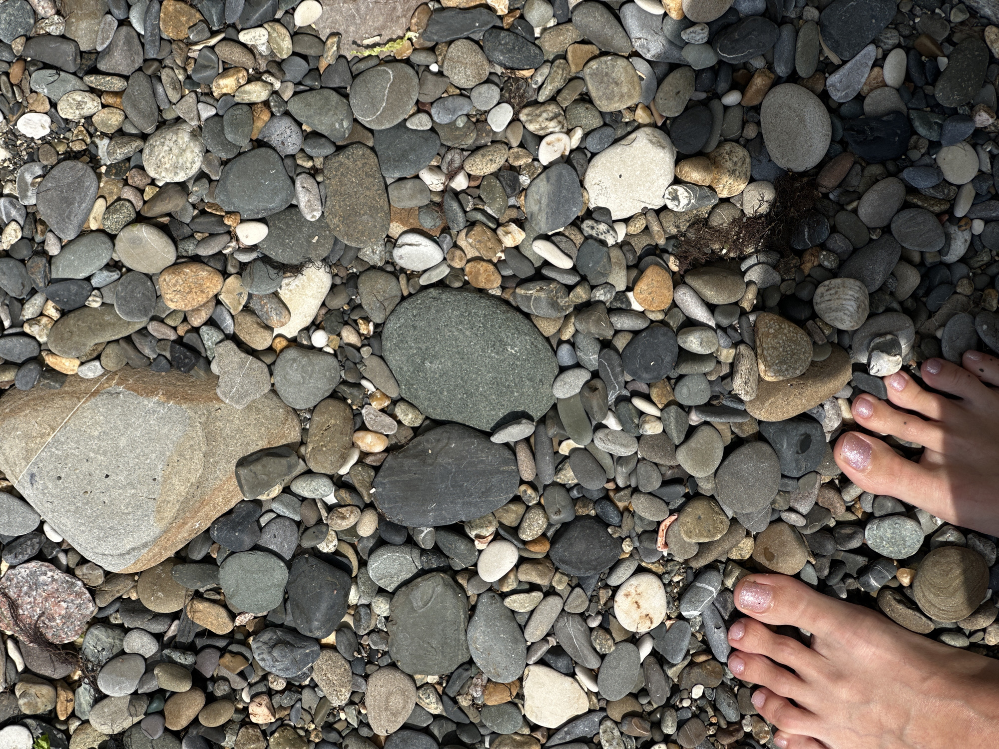 Lazy morning along the Black Sea coast in Sochi