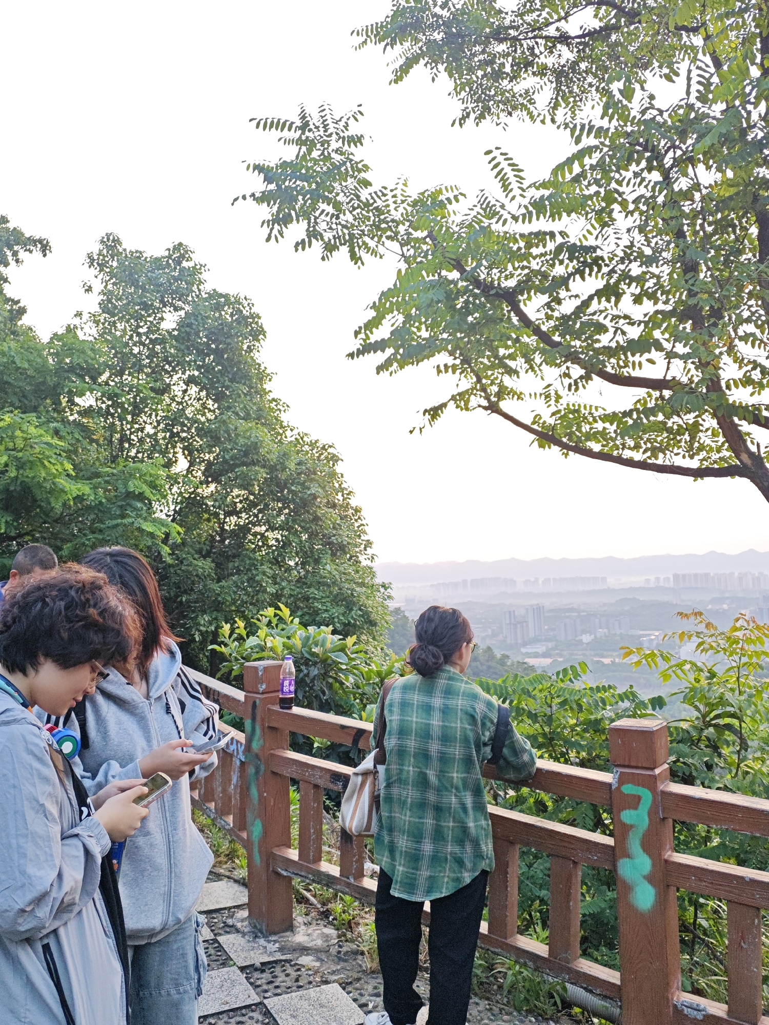 Evening sightseers gather at Chongqing scenic overlook amid bougainvillea blooms