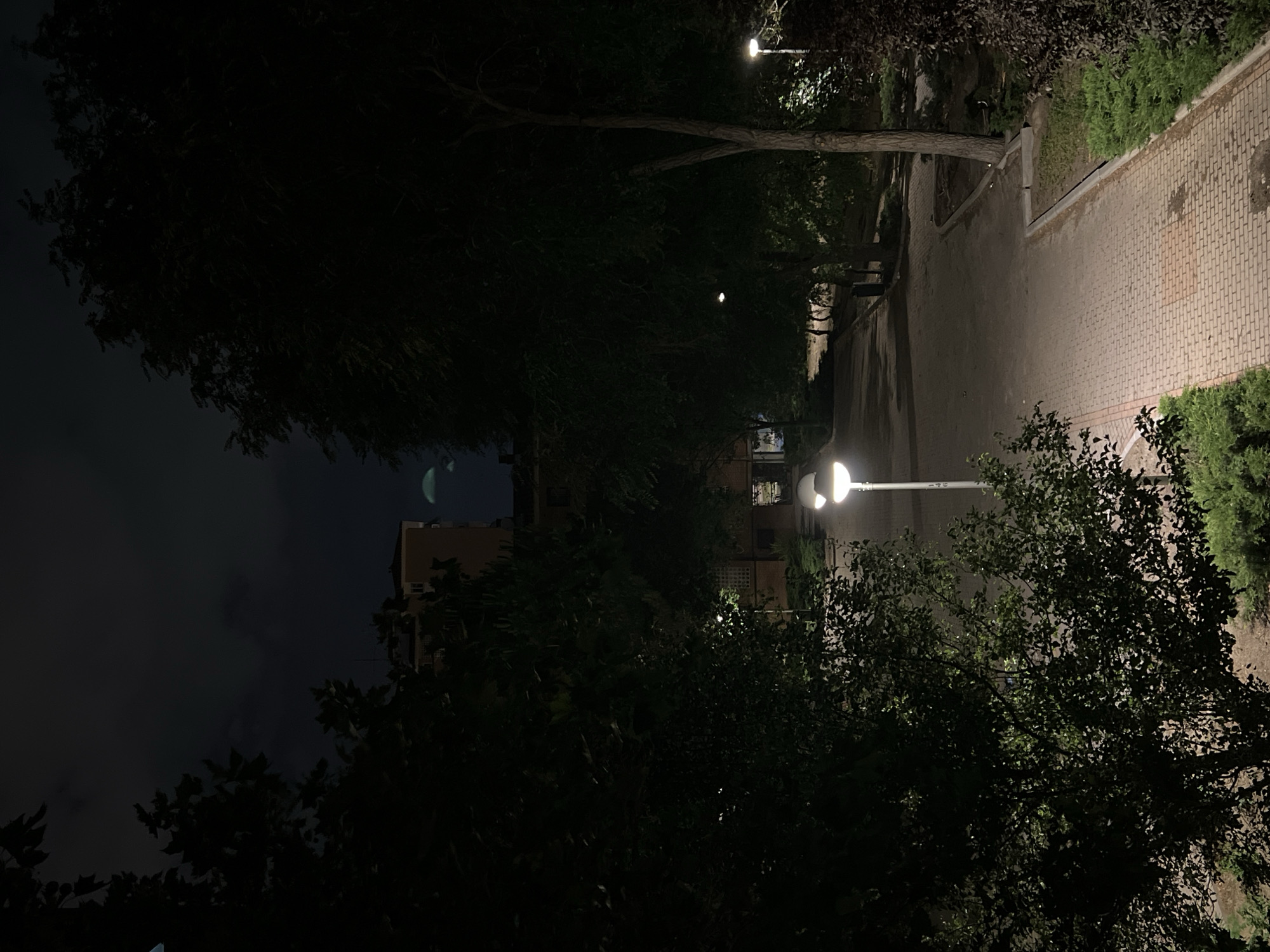 Madrid night: park paths, quiet streets, fingerboard skate setup