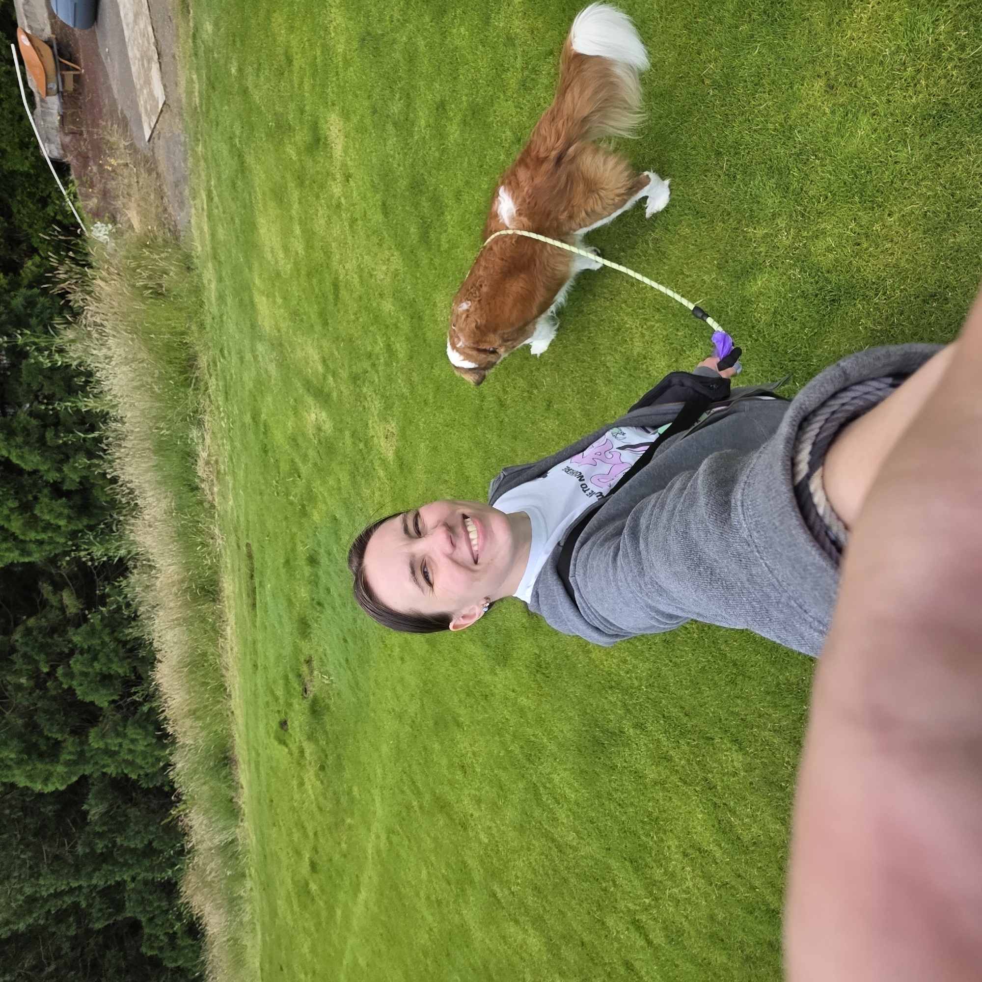 Saint Bernard day out near Oregon Zoo's forested trails