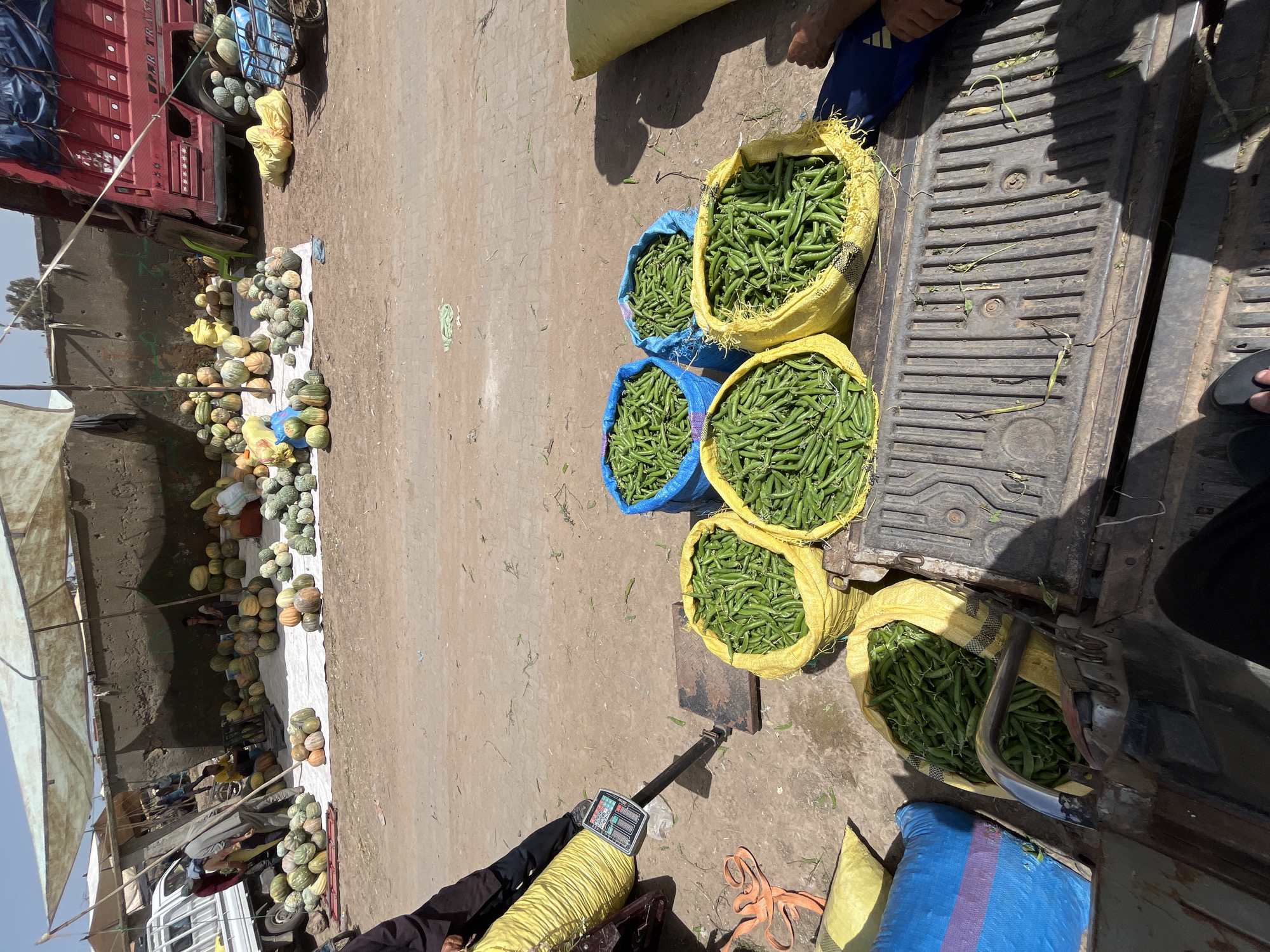 Busy outdoor market draws crowds in Jamaat Shaim, Morocco