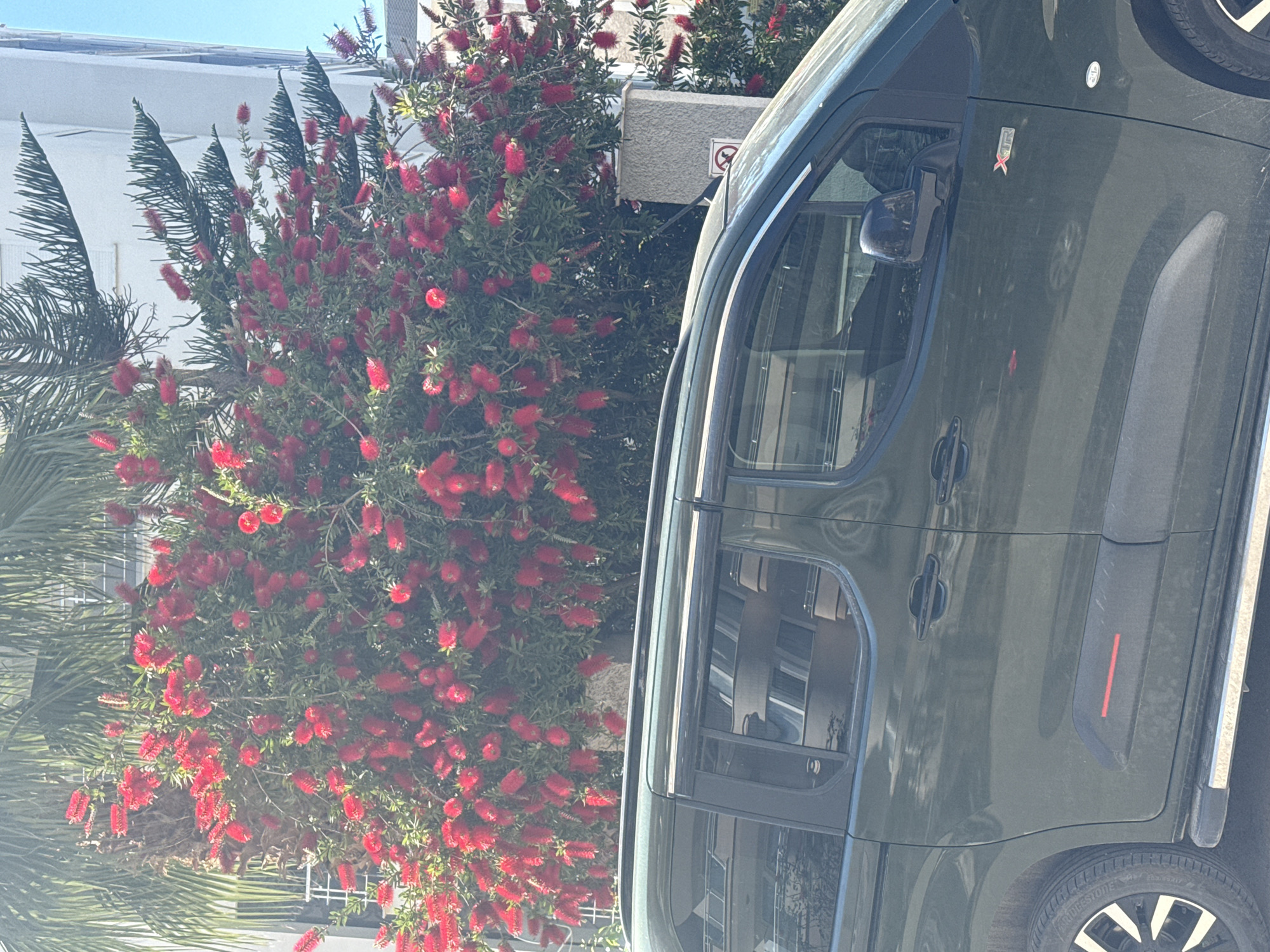 Sunny afternoon urban scenes documented across multiple locations