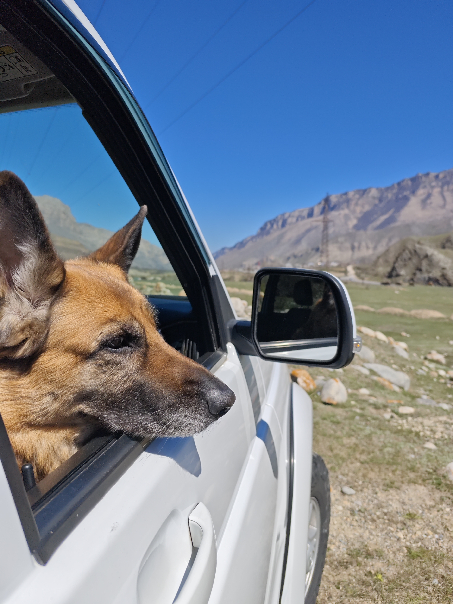 Dog enjoys car window time in Russian mountain valley