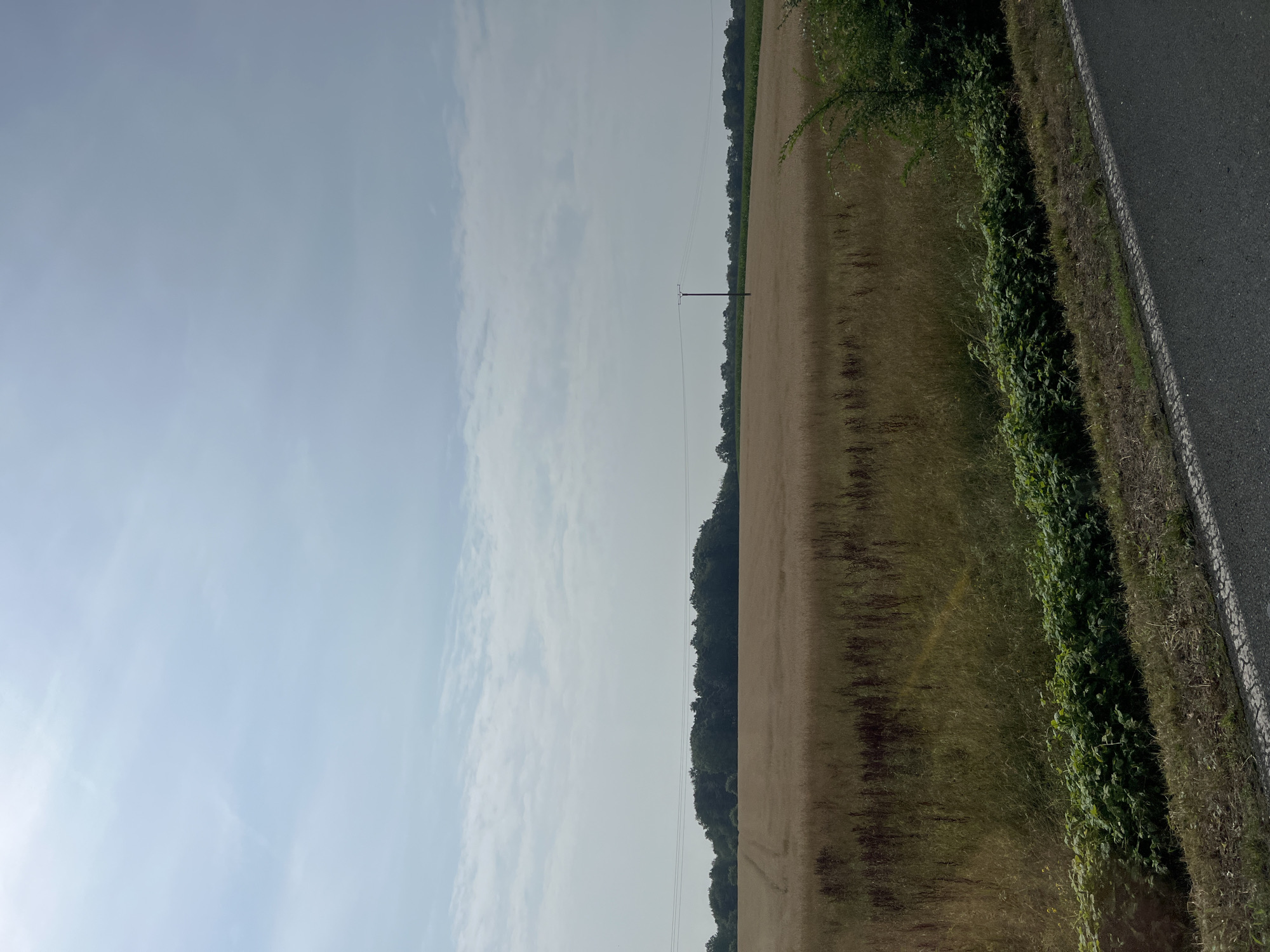 Rural fields and a roadside selfie on a hazy summer morning