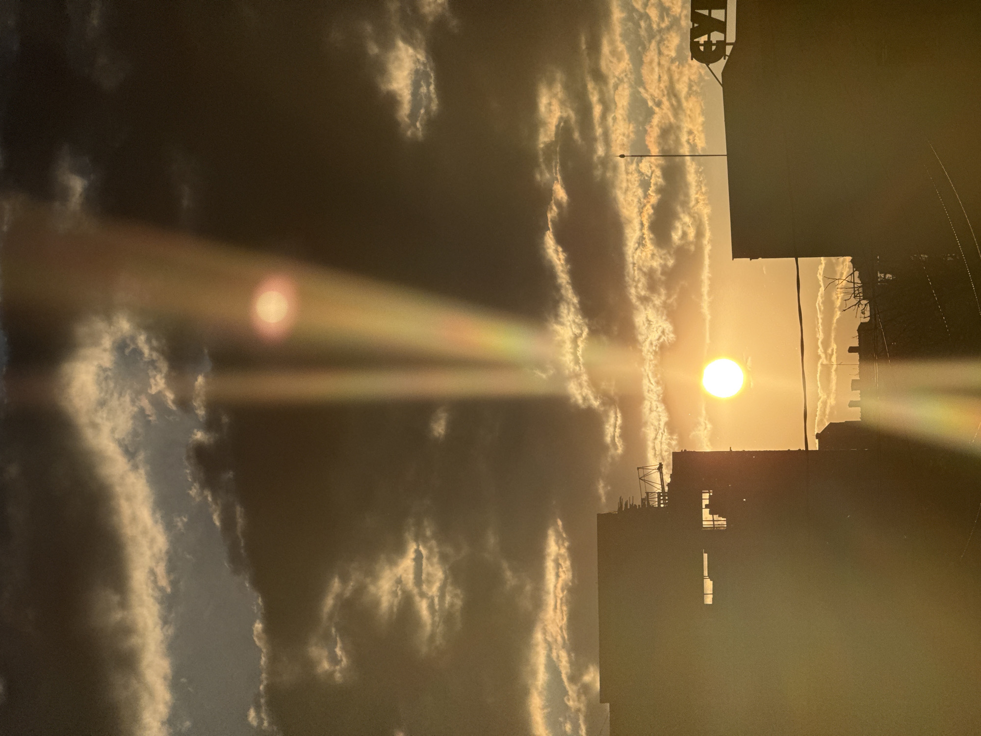 Golden hour photography session captured in Belgrade suburb