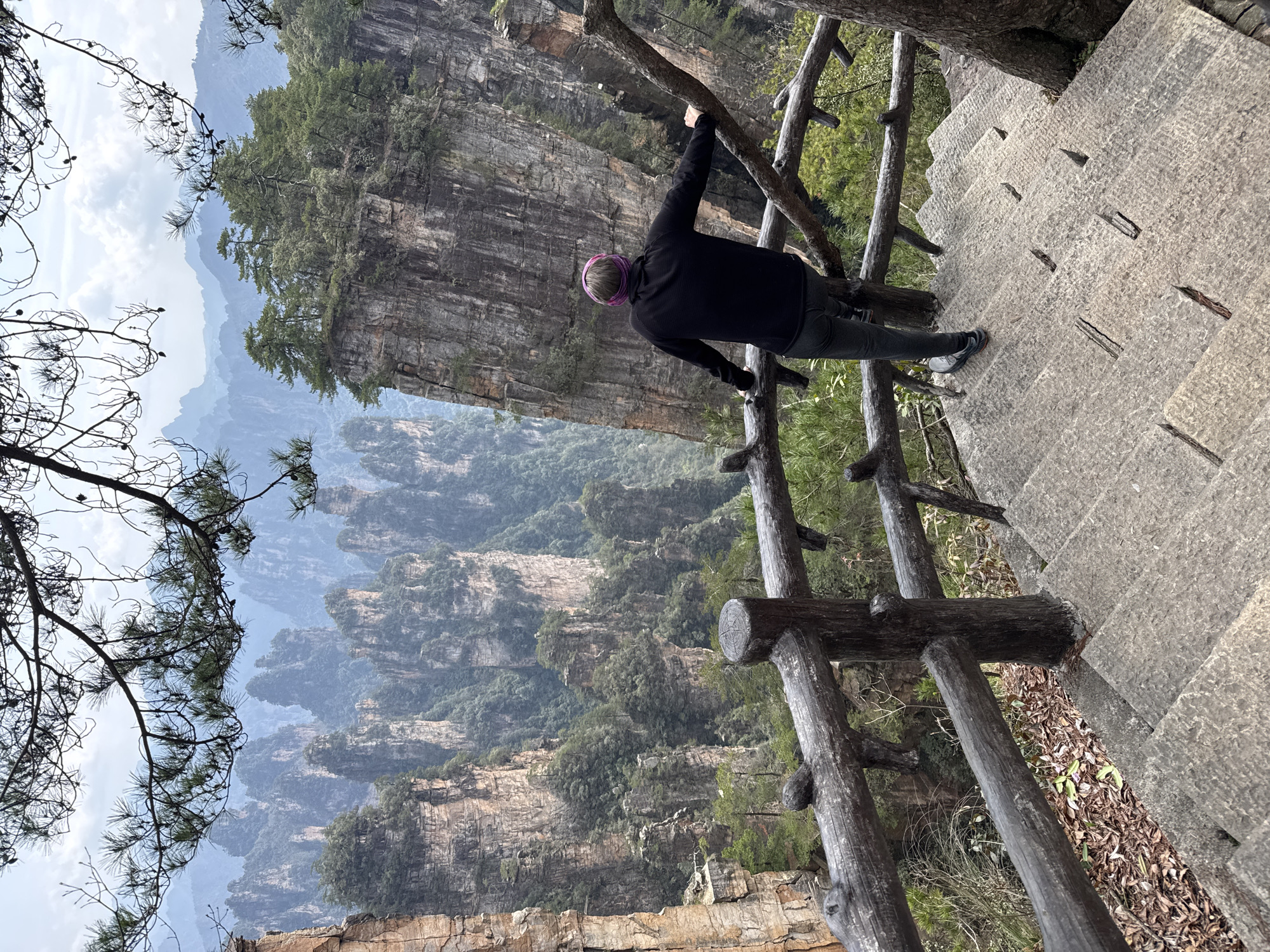 Tourist explores Wulingyuan with dog, visits markets, tries local food