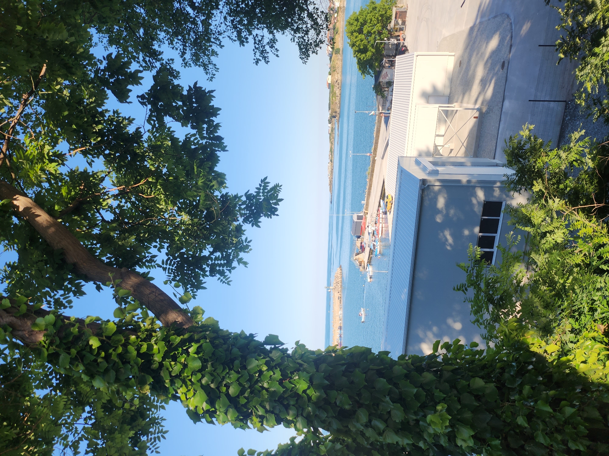 Tsarevo harbor on a sunny afternoon, seen through the trees